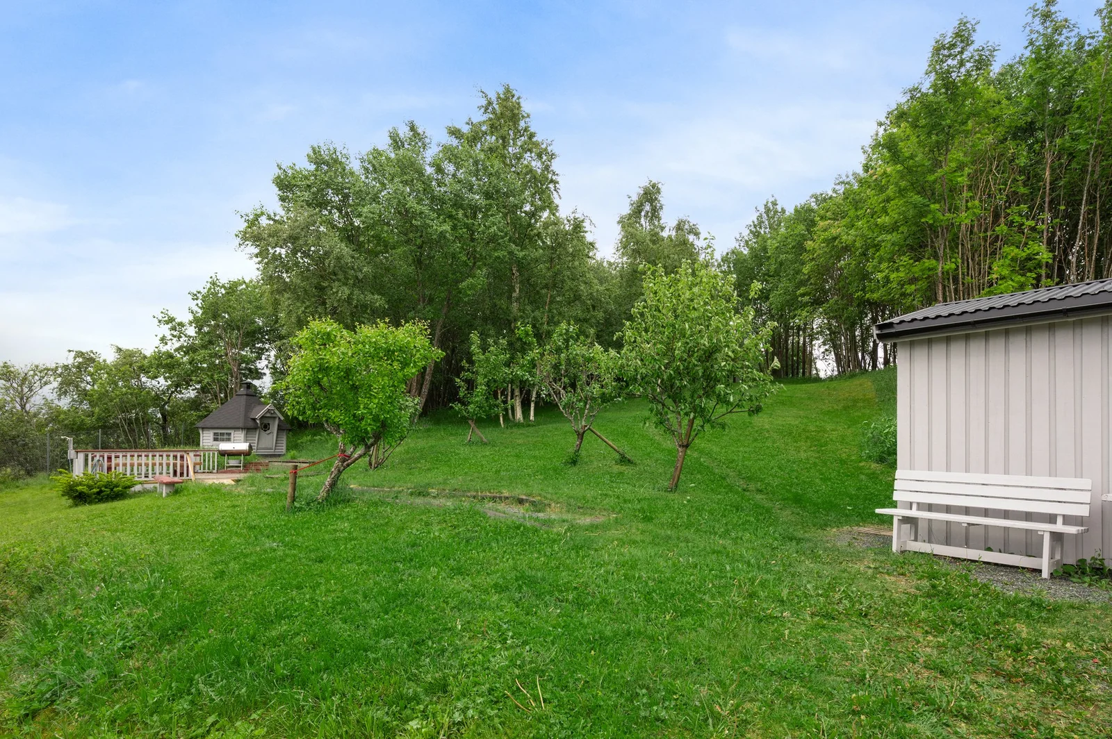 Photo 41