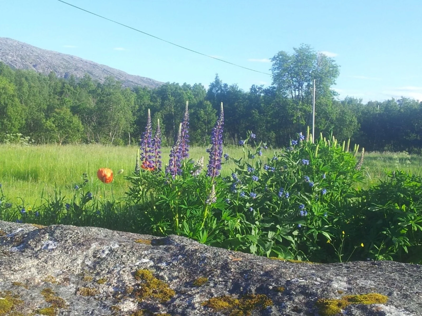 Photo 43