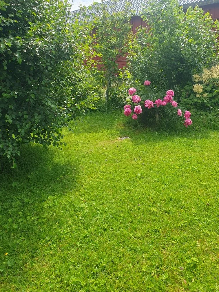 Photo 34