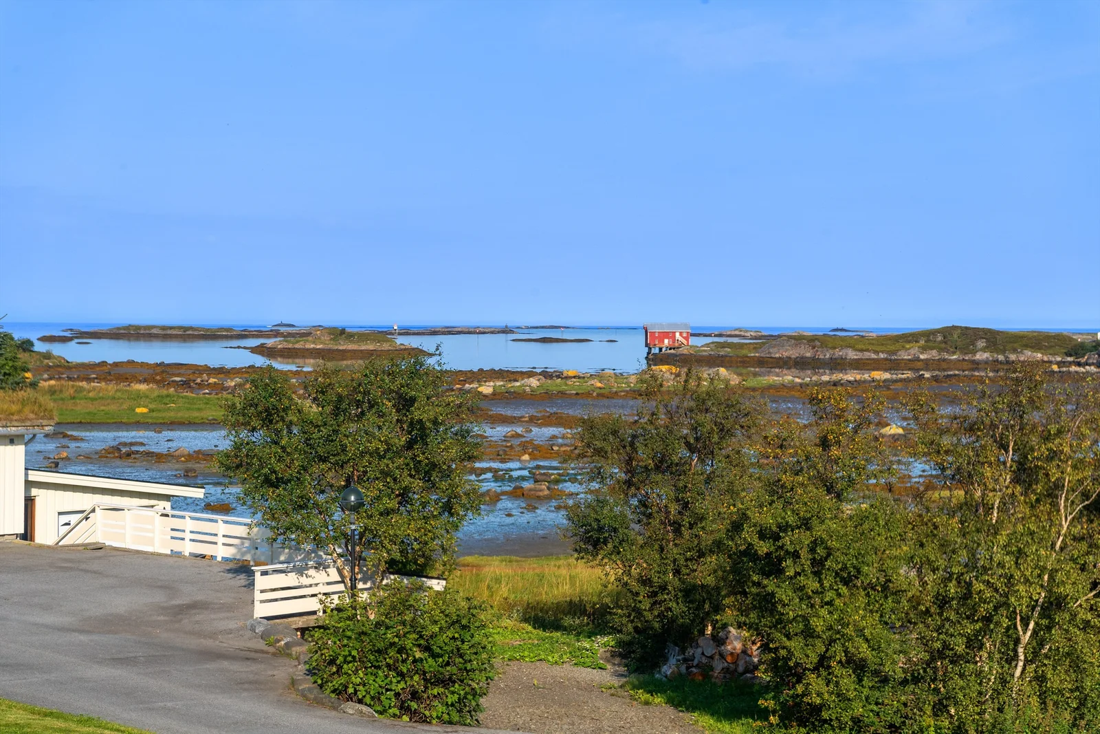 Photo 41