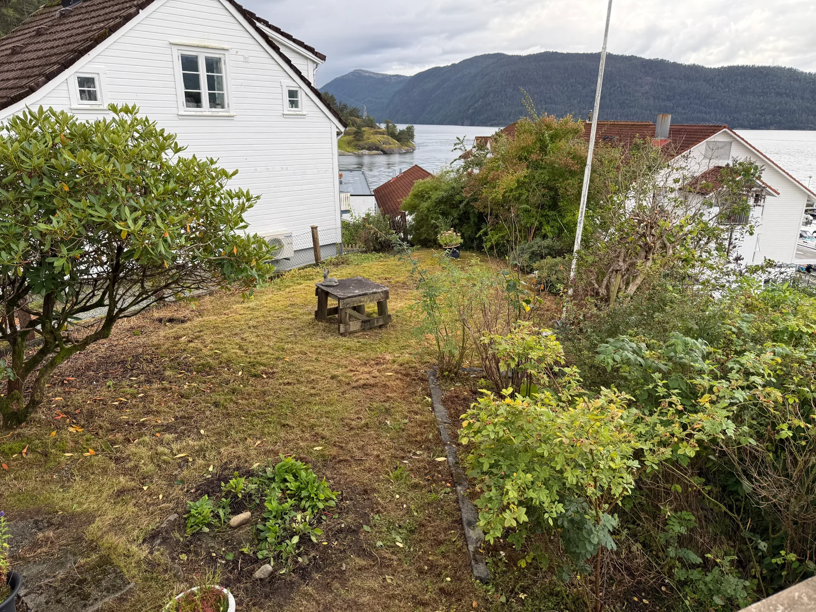 Photo 8