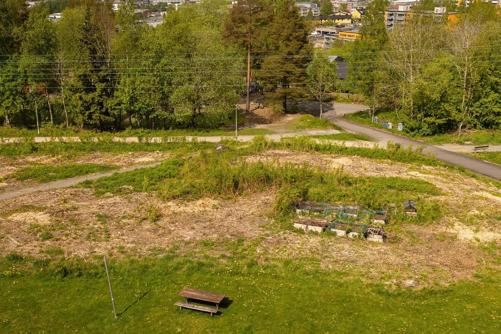 Photo 19