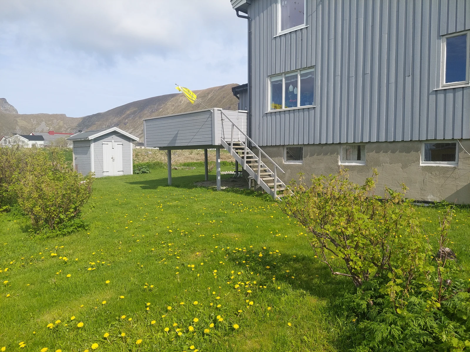 Photo 8