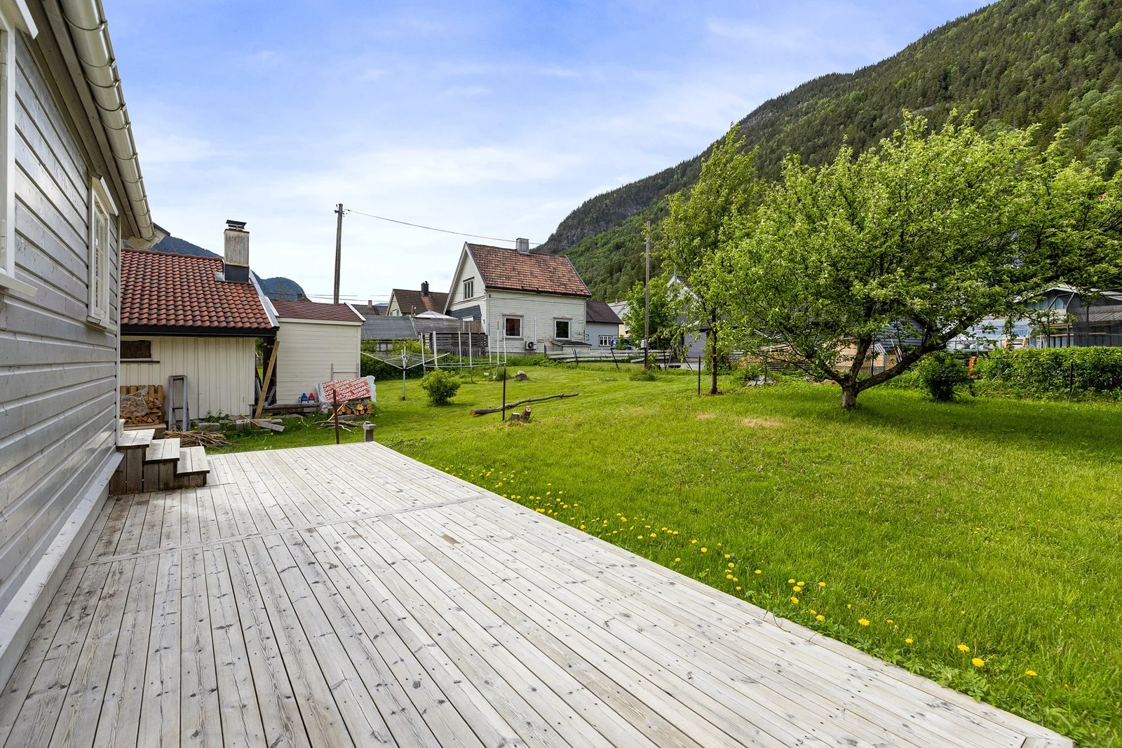 Photo 5