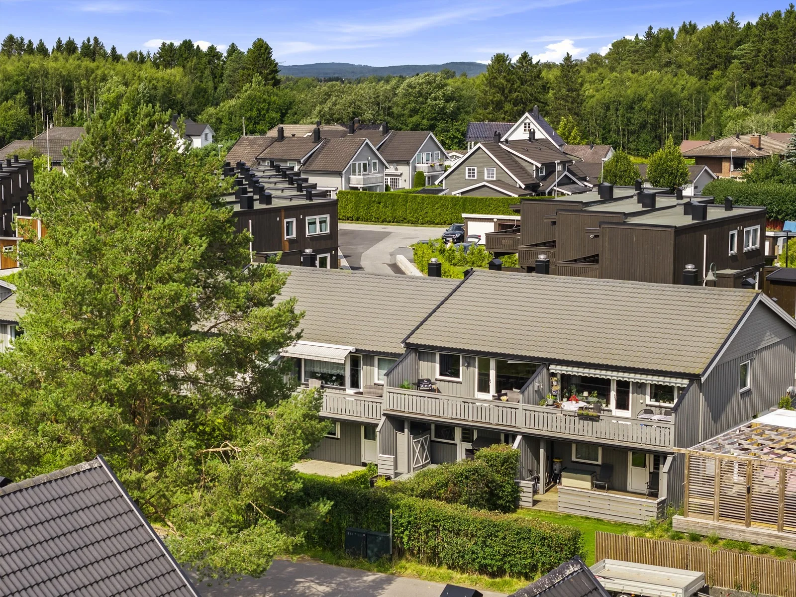 Photo 54
