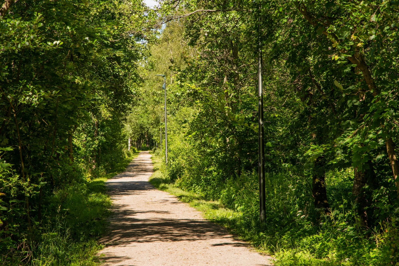 Photo 47