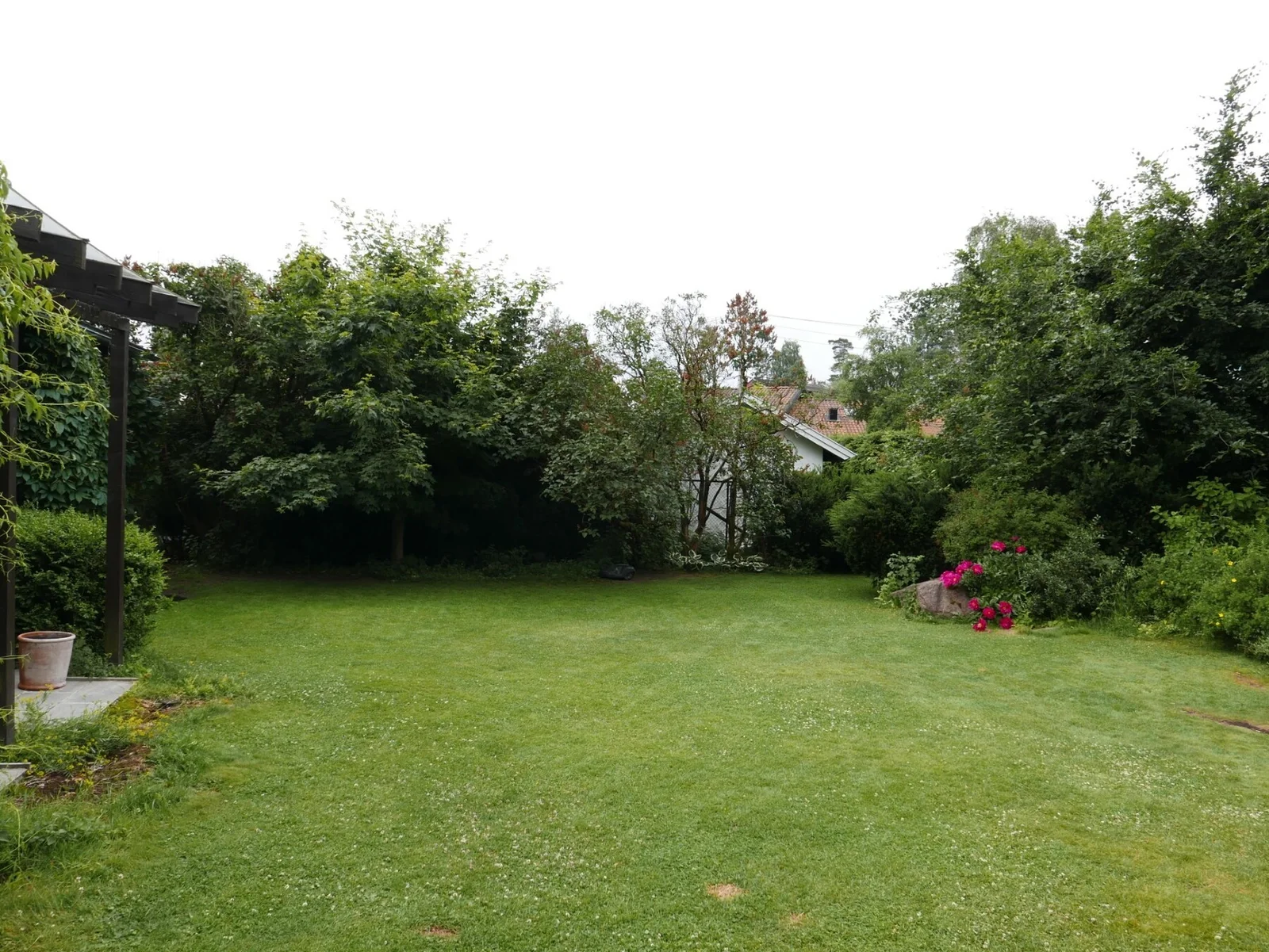 Photo 51