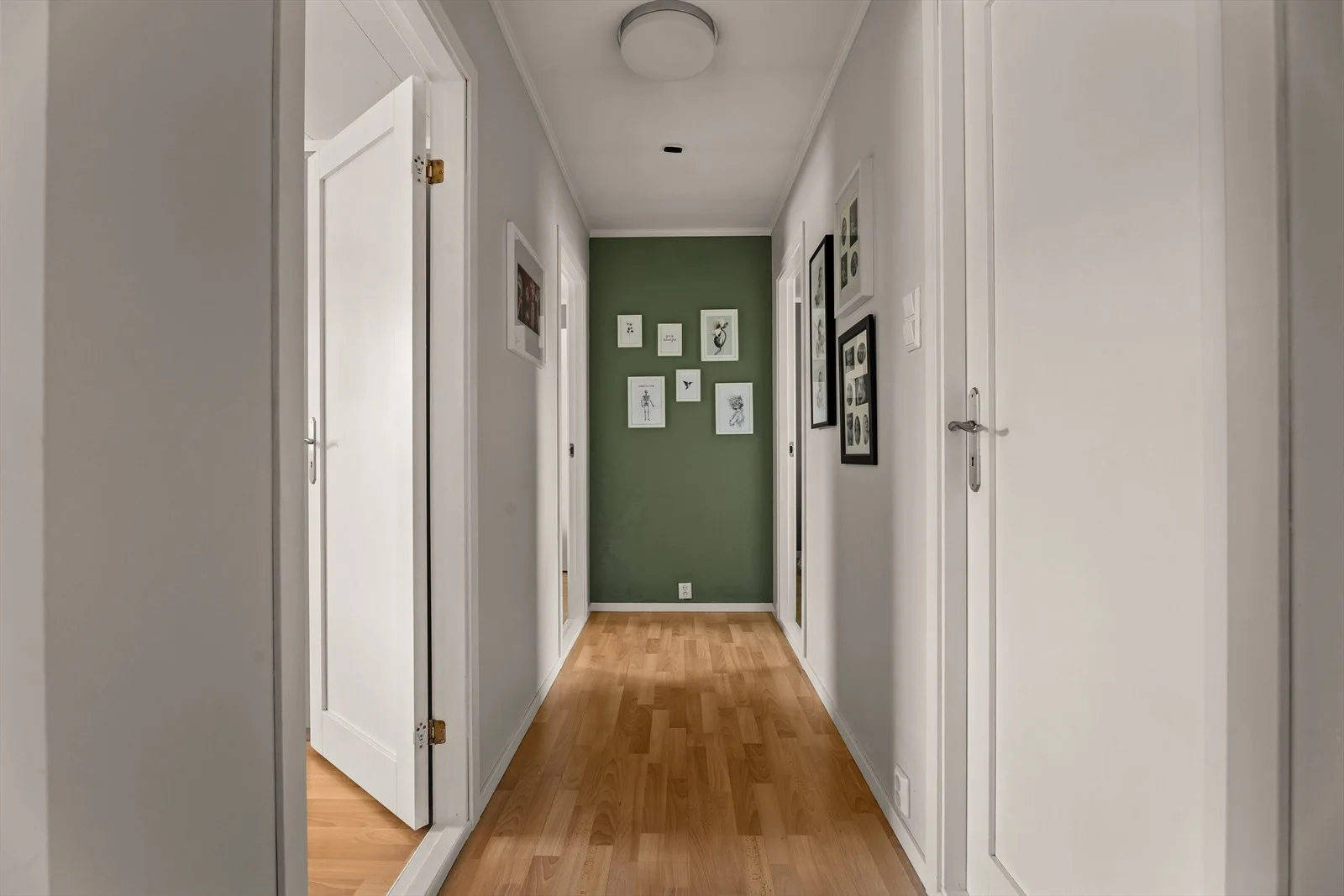 Photo 44