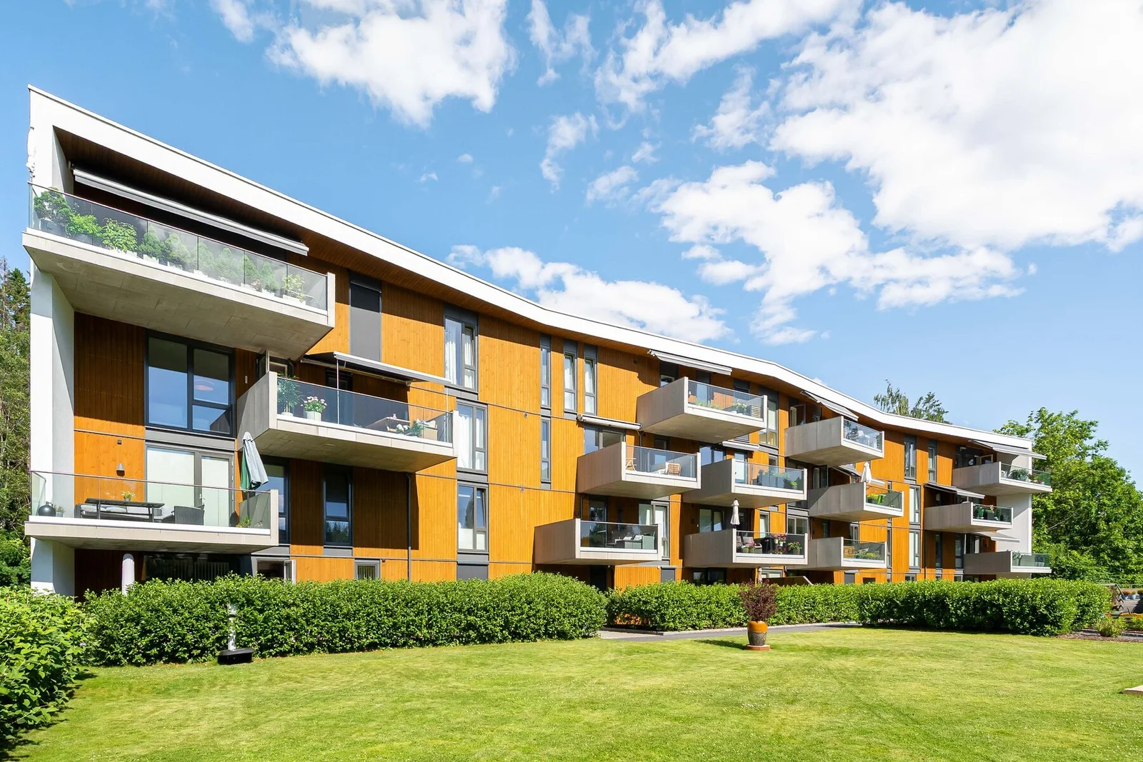 Photo 38