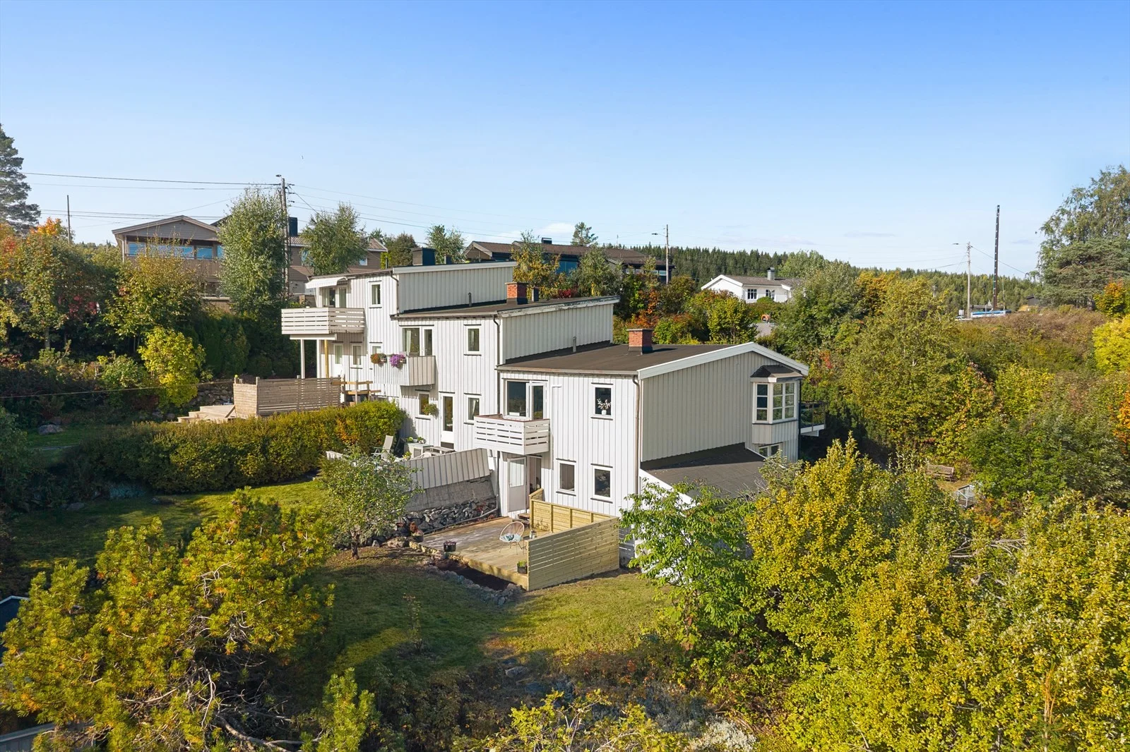 Photo 51