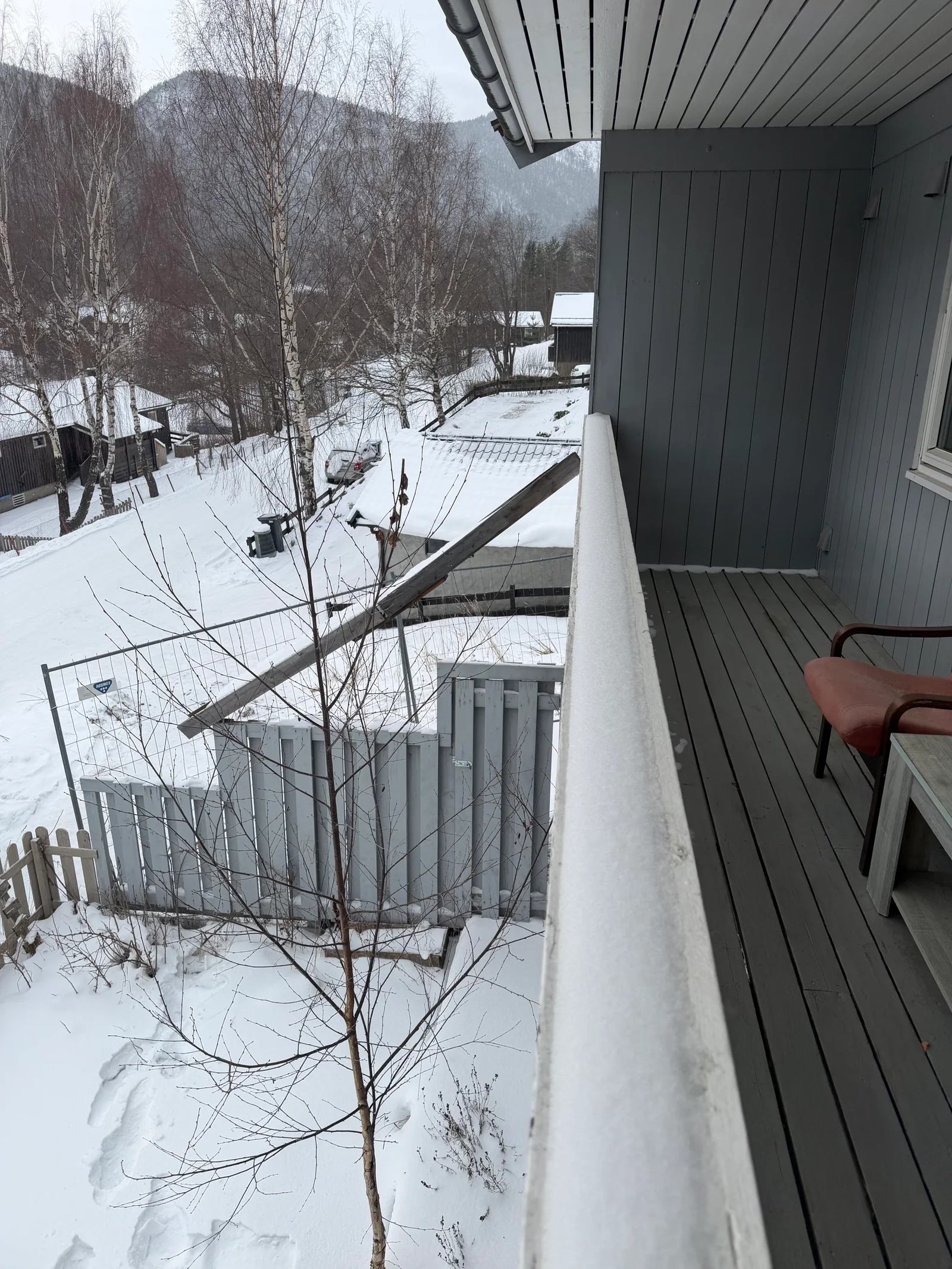 Photo 16