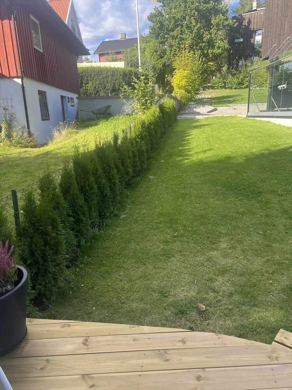 Photo 42