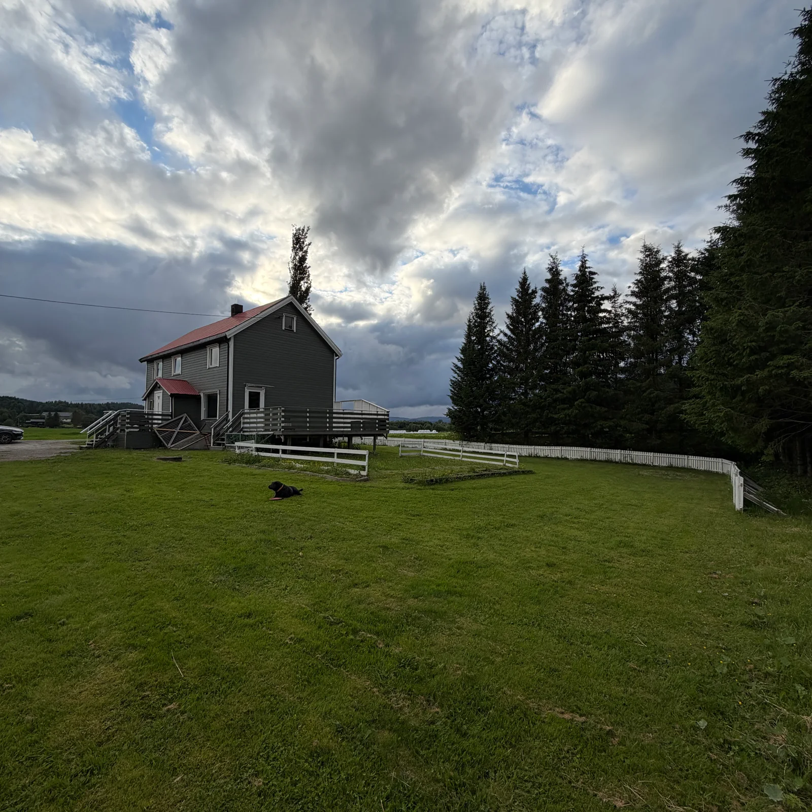 Photo 3