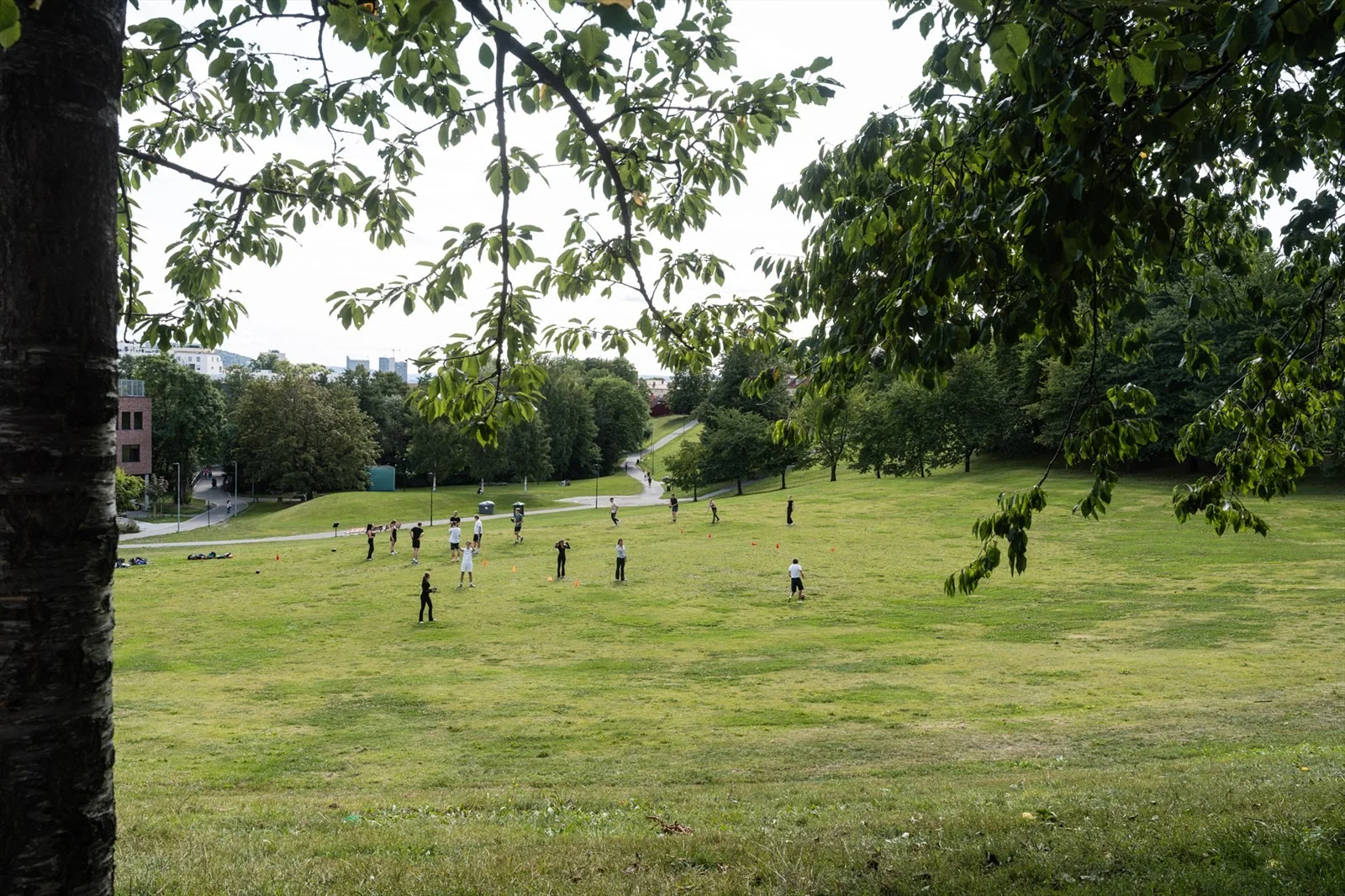 Photo 27