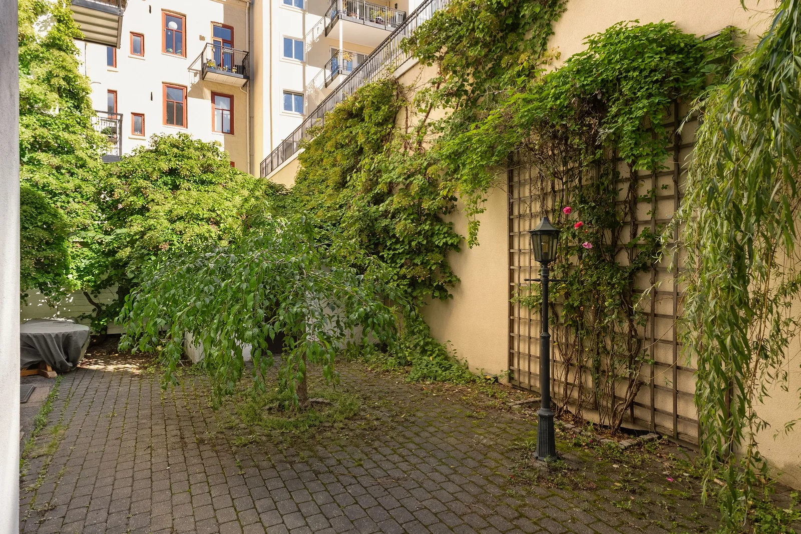 Photo 42