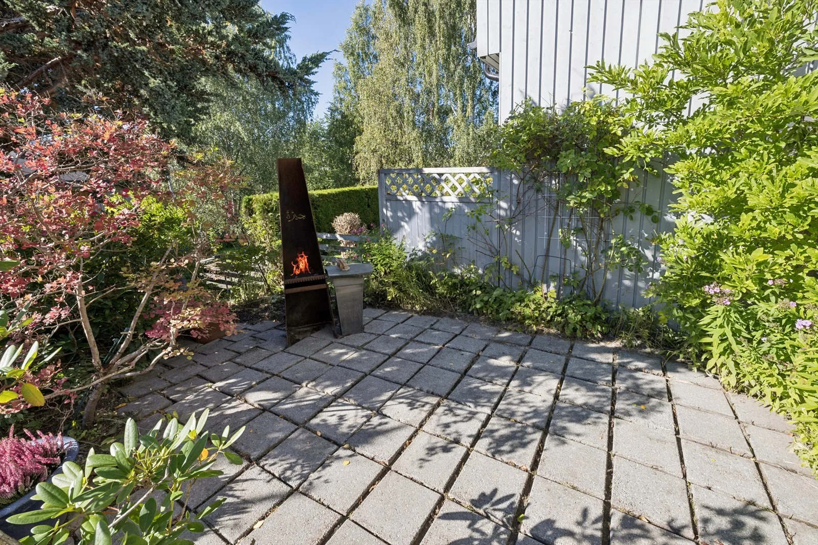 Photo 35