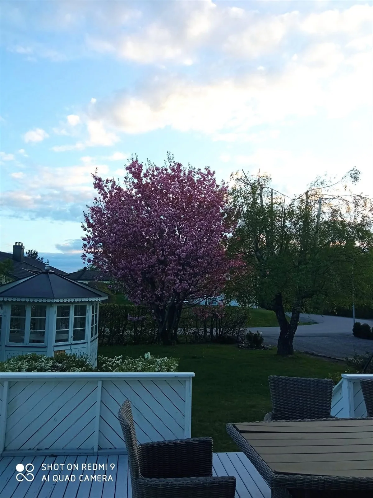 Photo 63