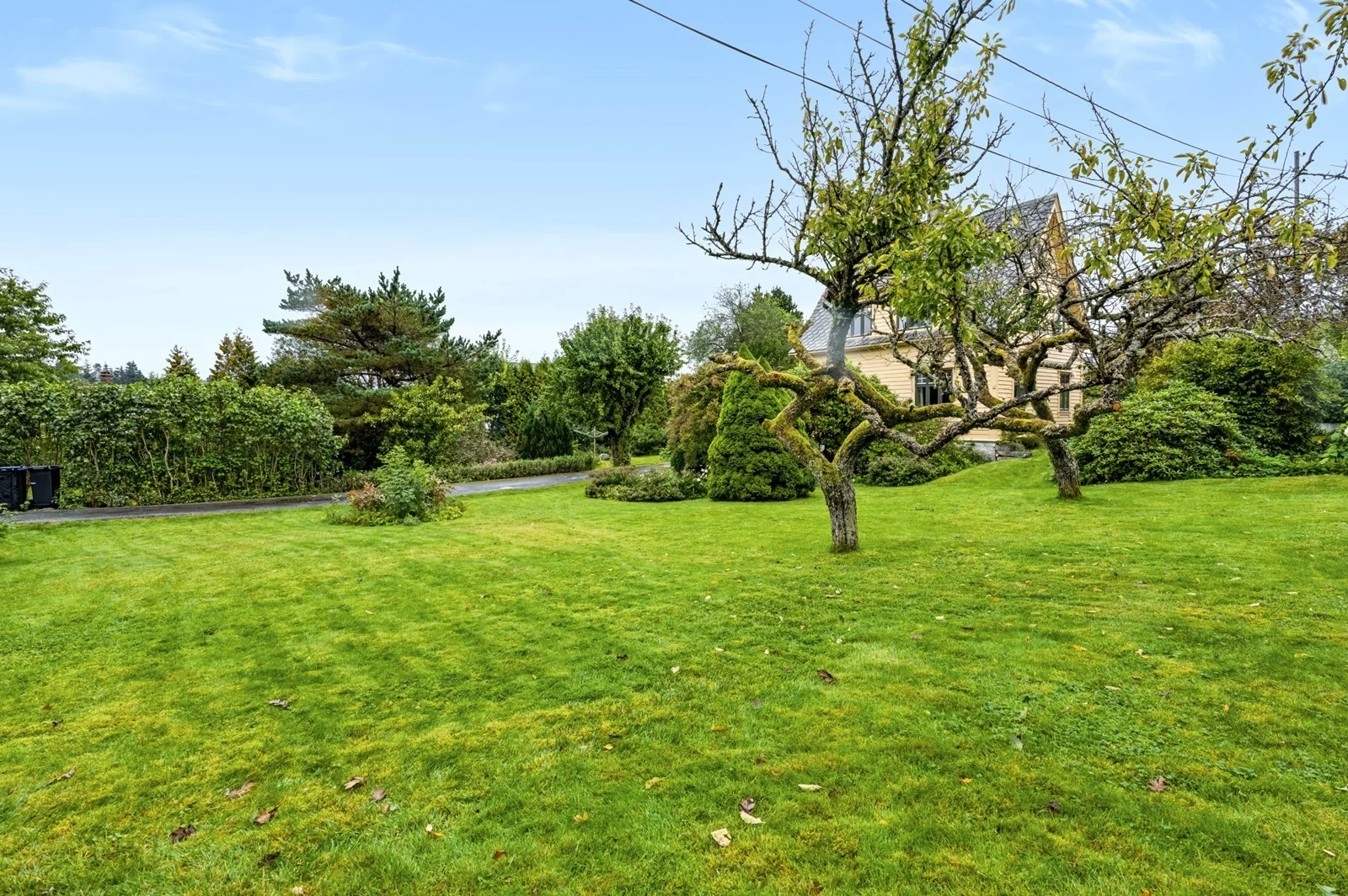 Photo 41