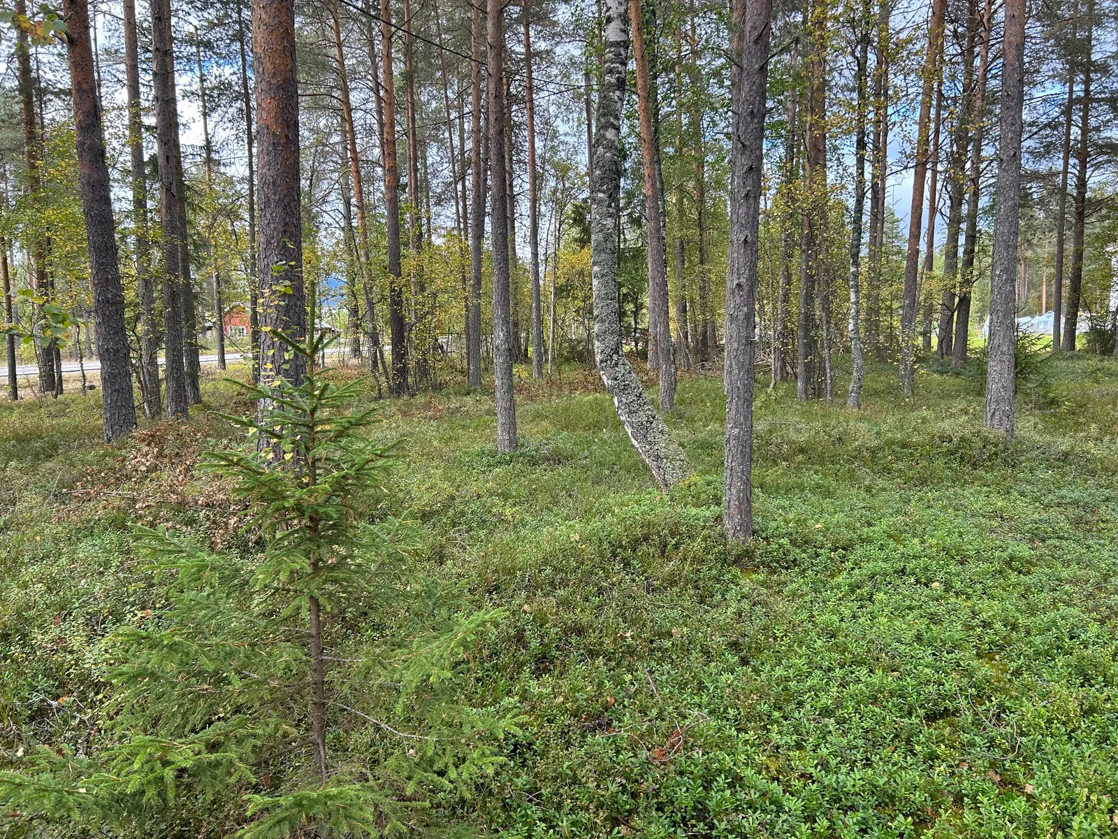 Photo 13
