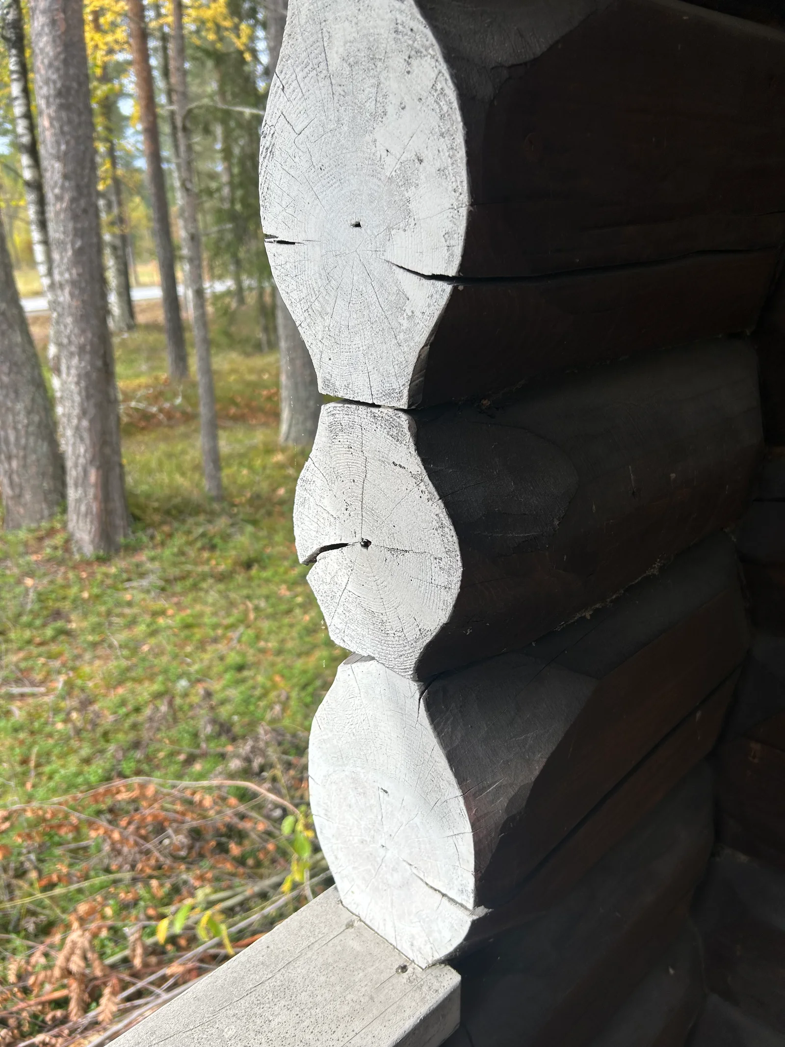 Photo 41