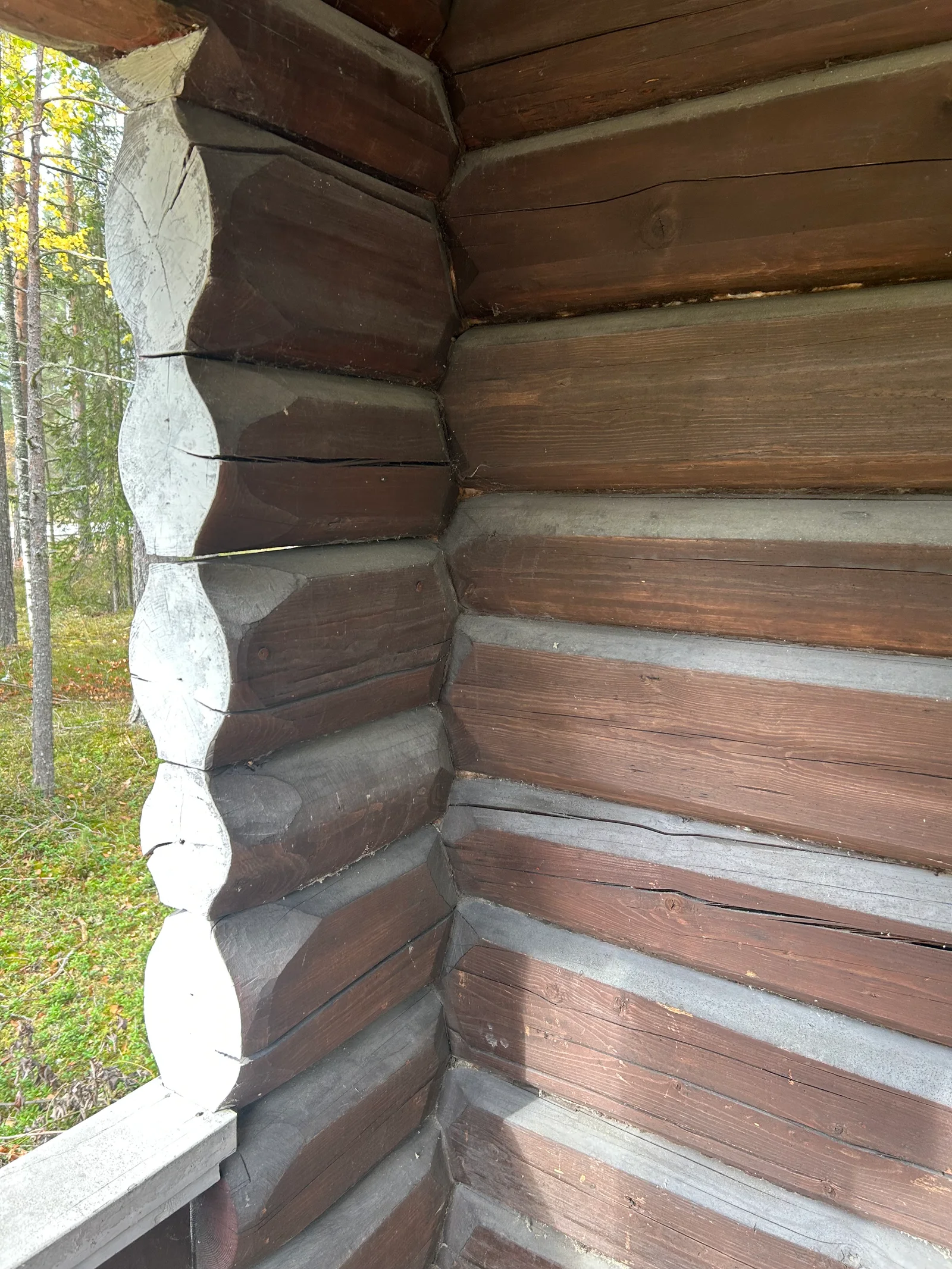 Photo 45