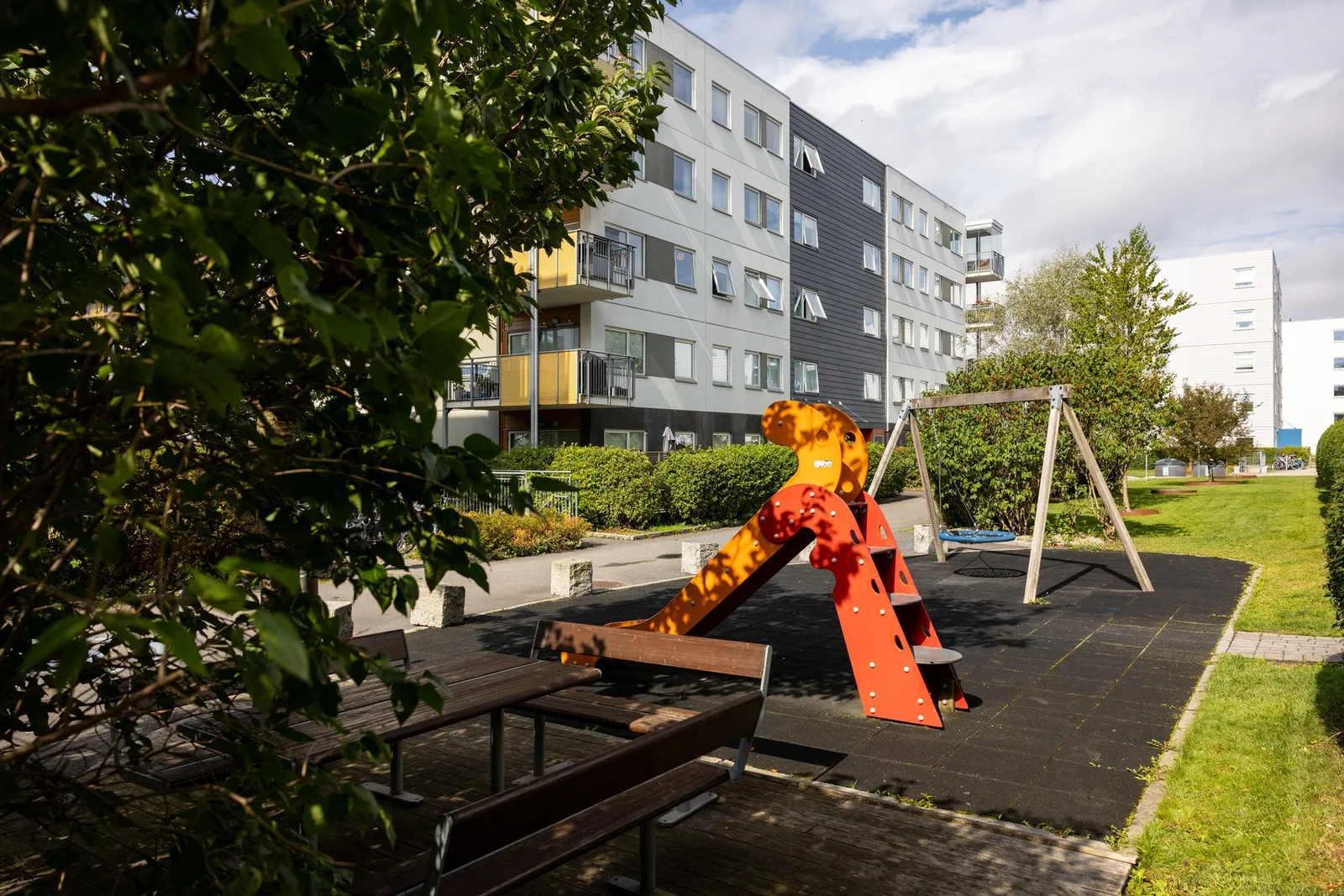 Photo 42