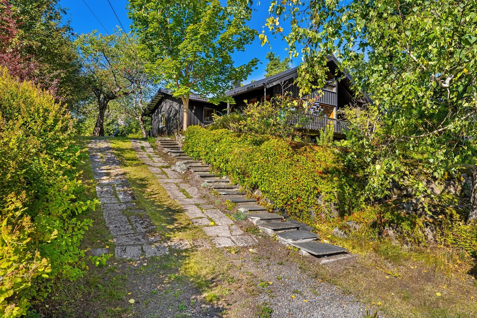 Photo 29