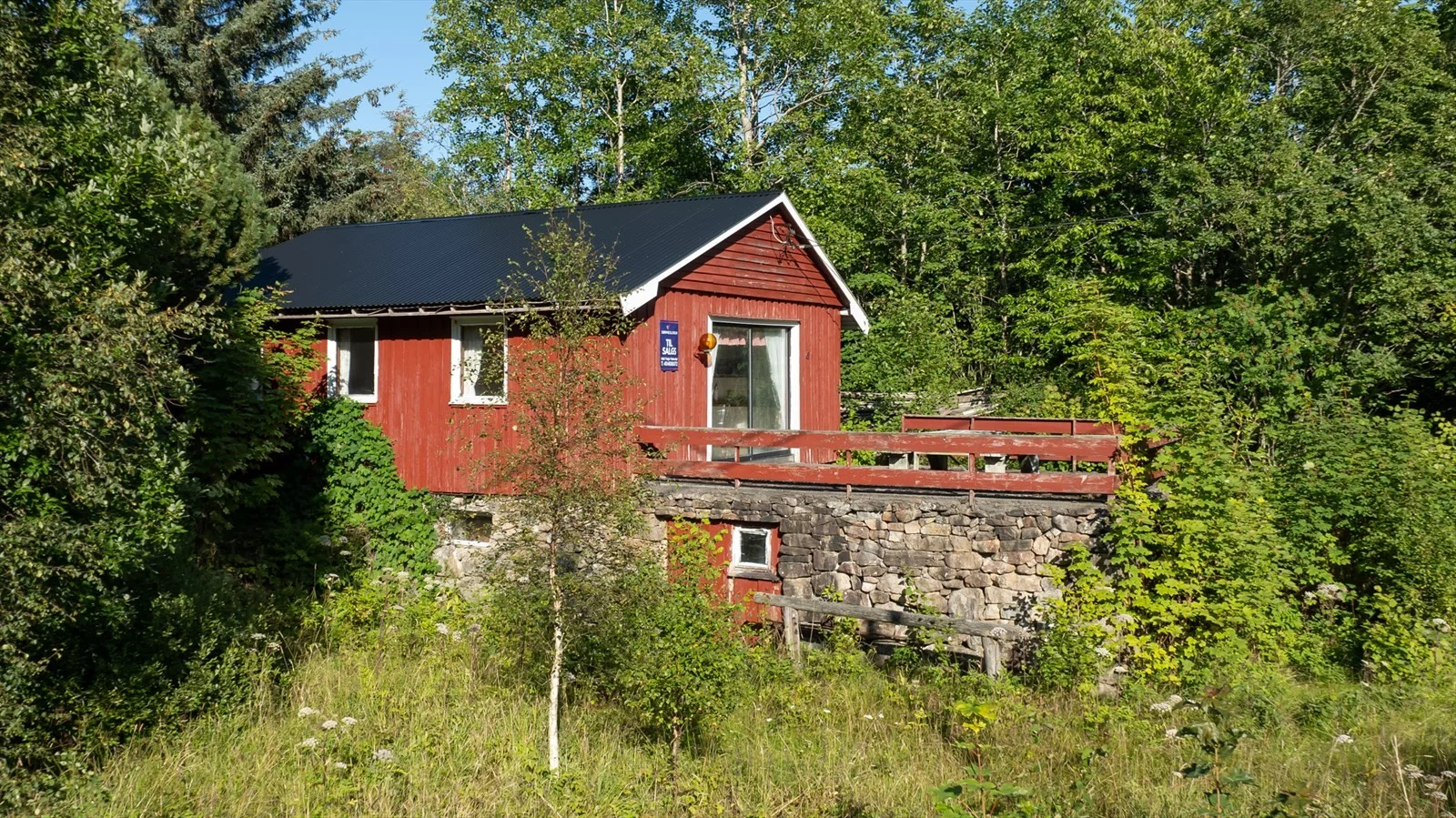 Photo 16