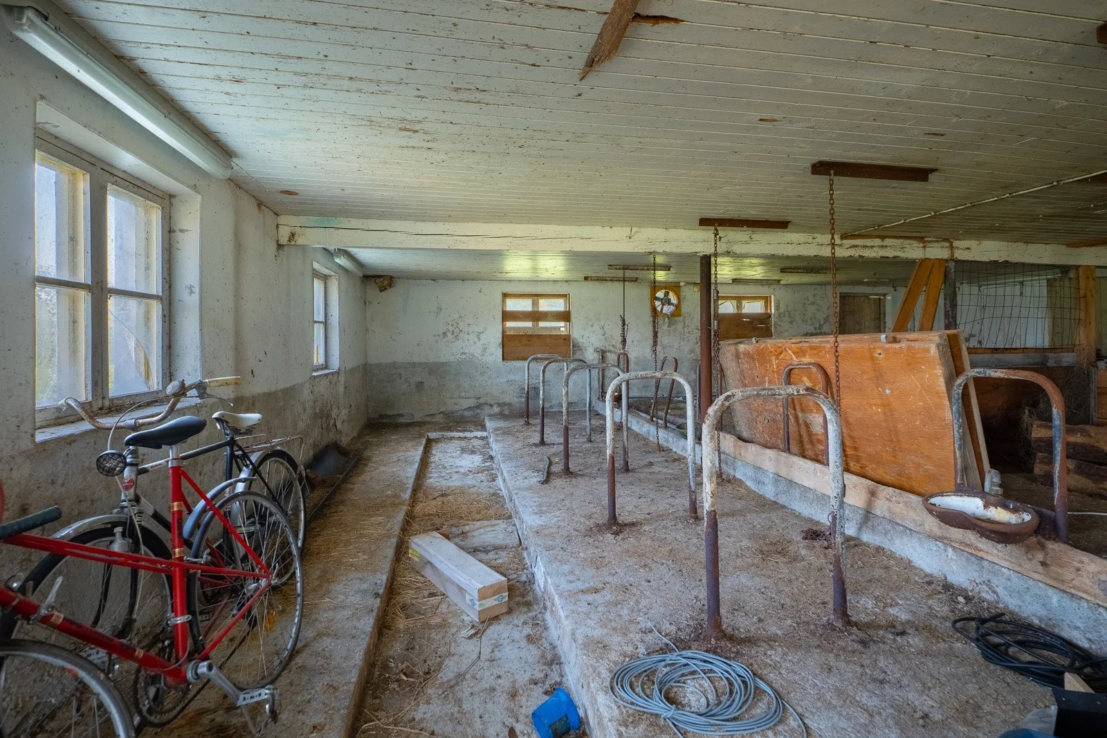 Photo 48