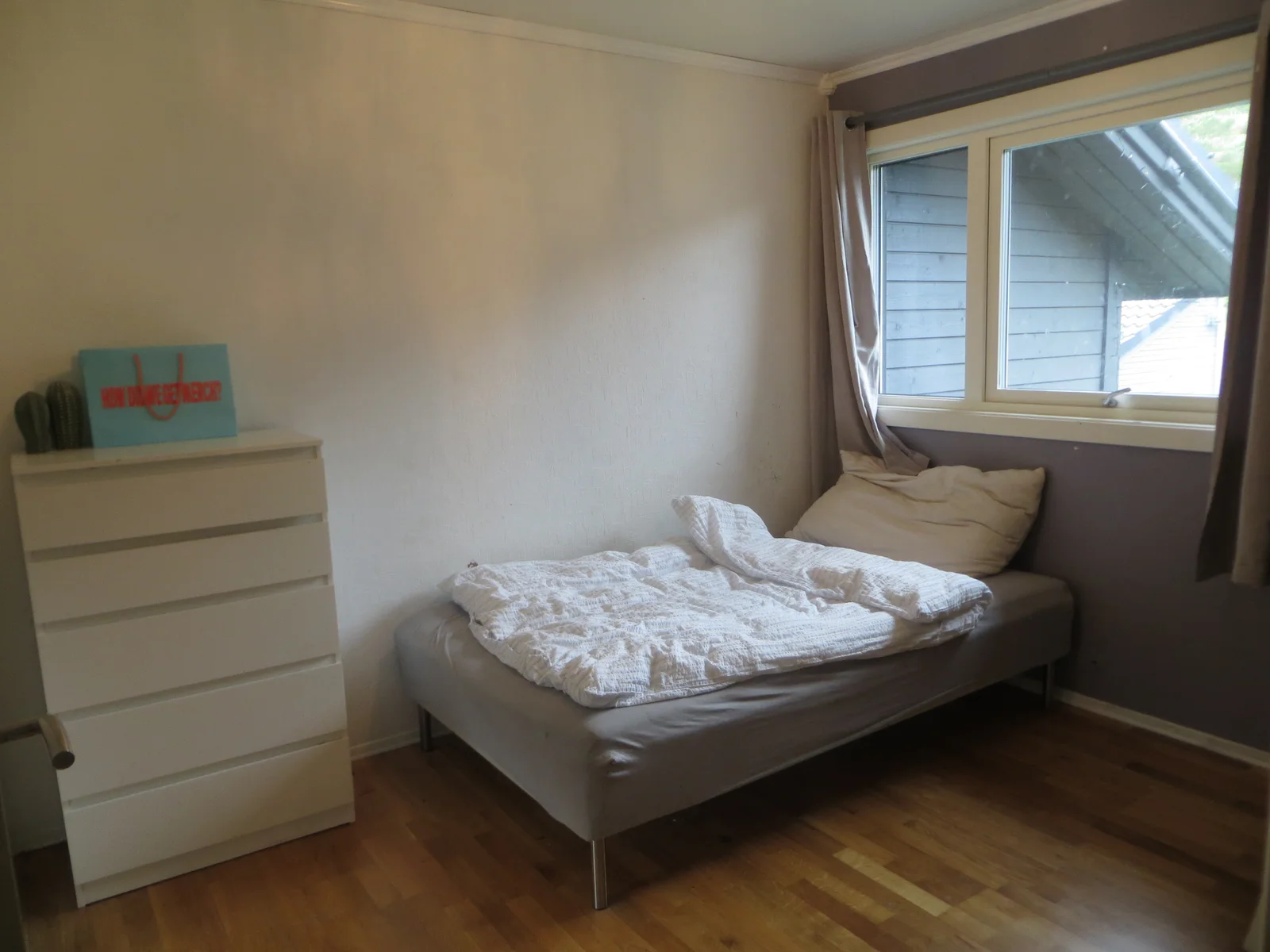 Photo 5