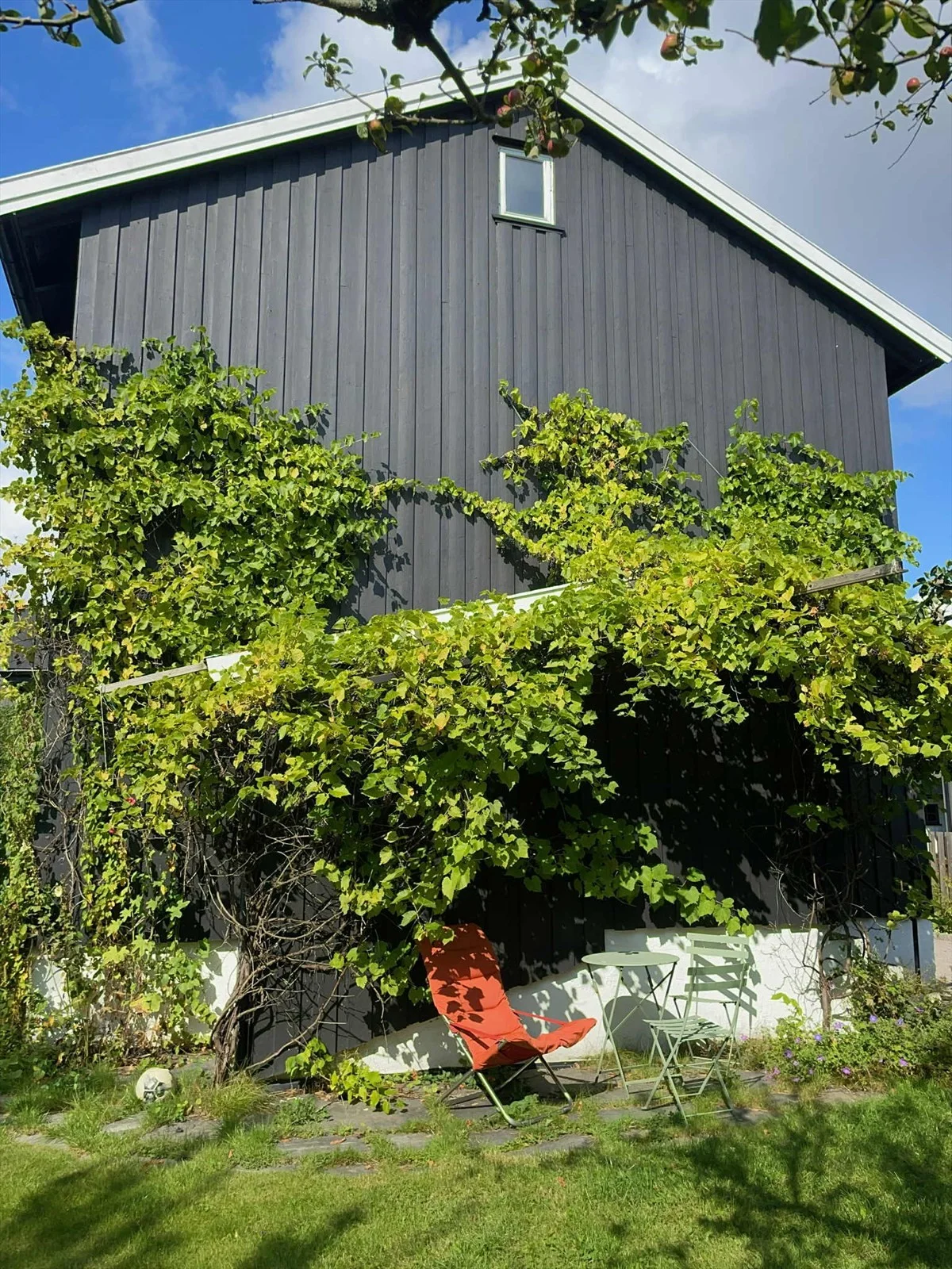 Photo 40