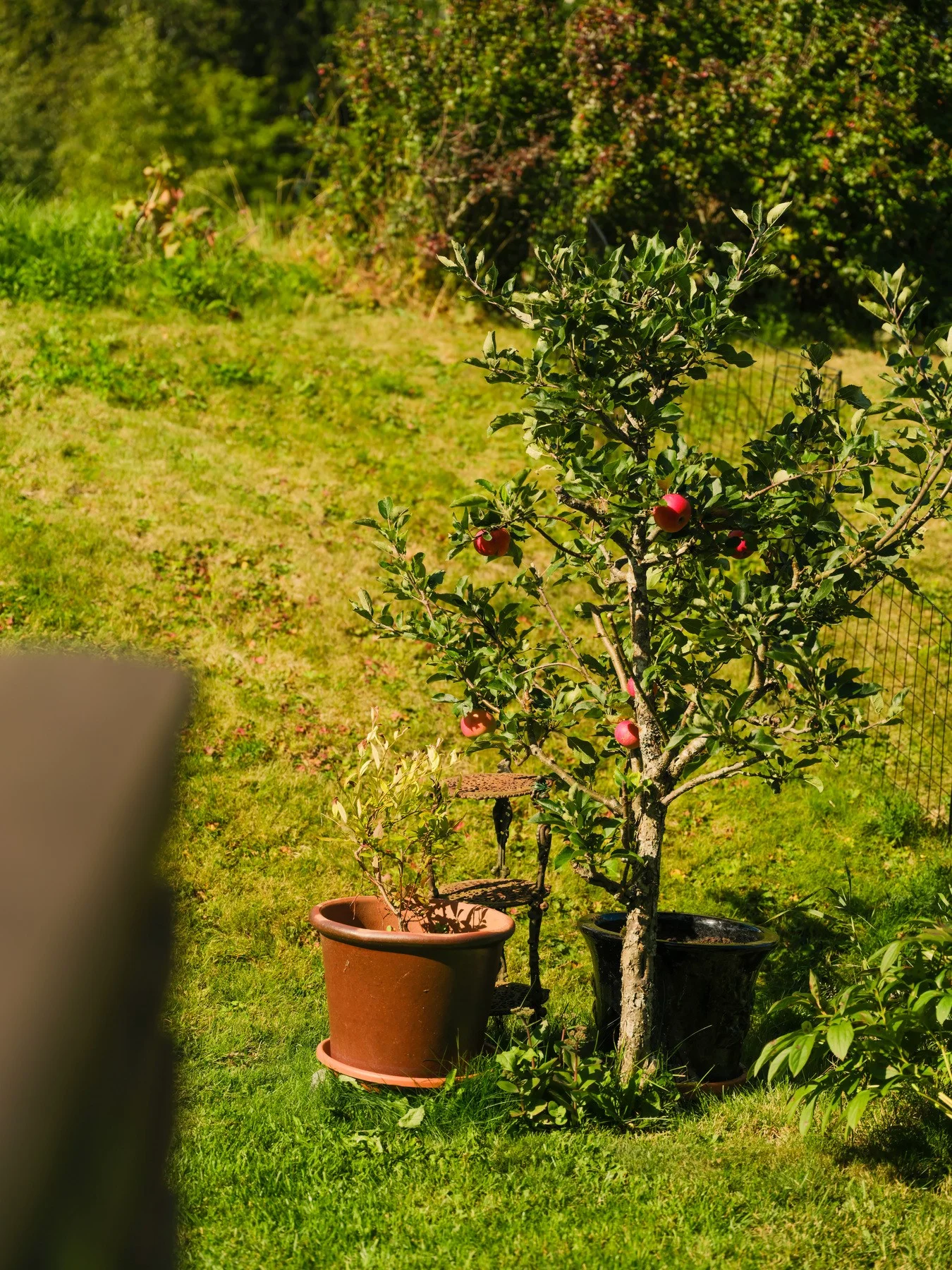 Photo 41