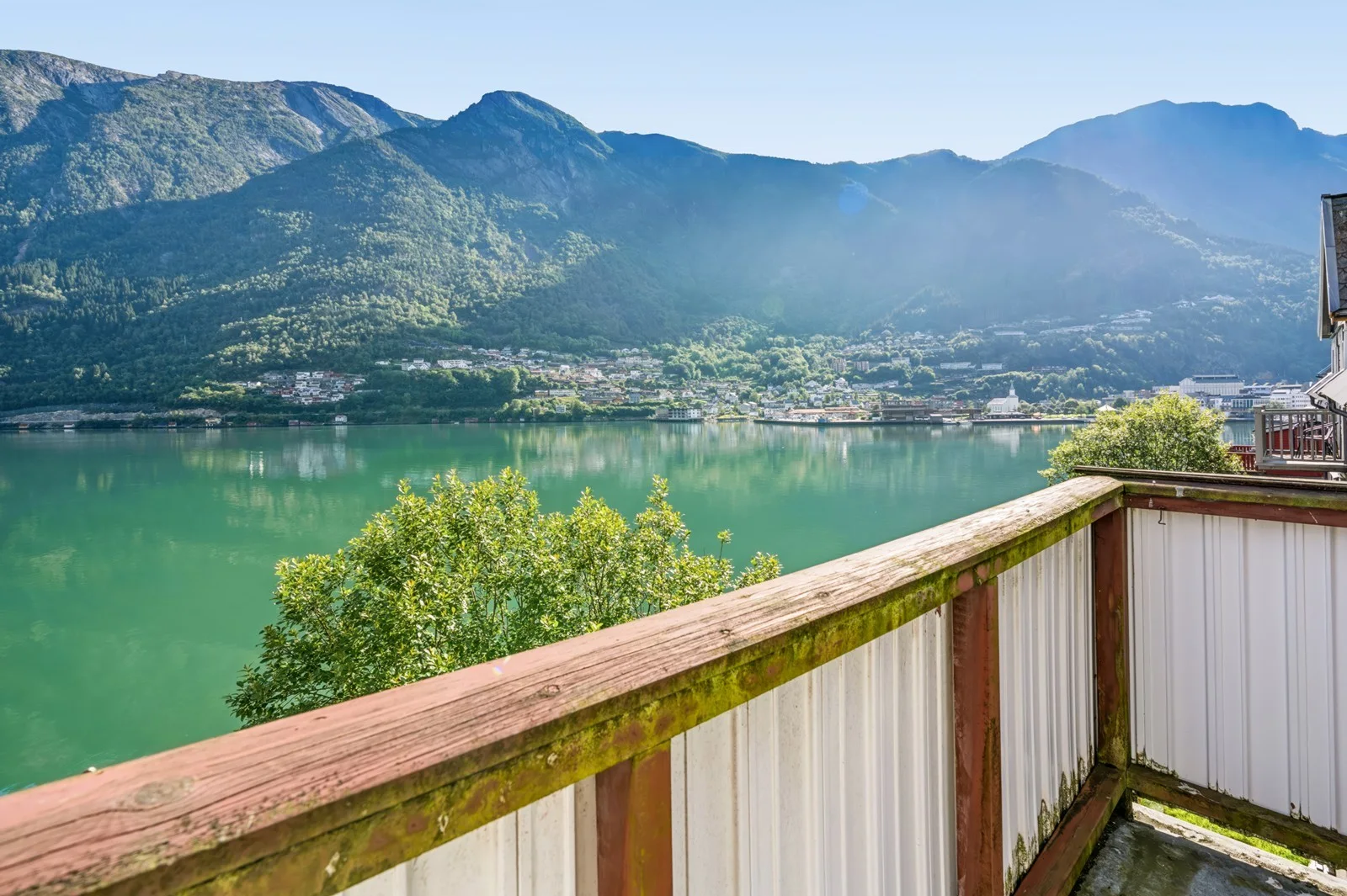 Photo 20