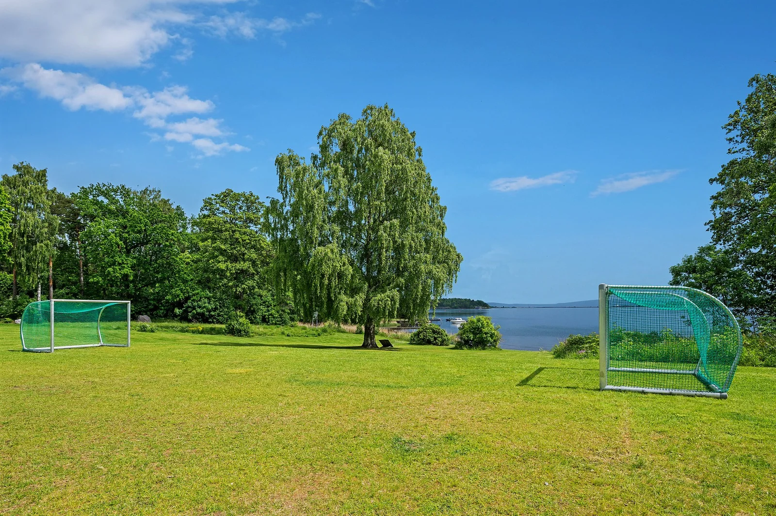 Photo 38