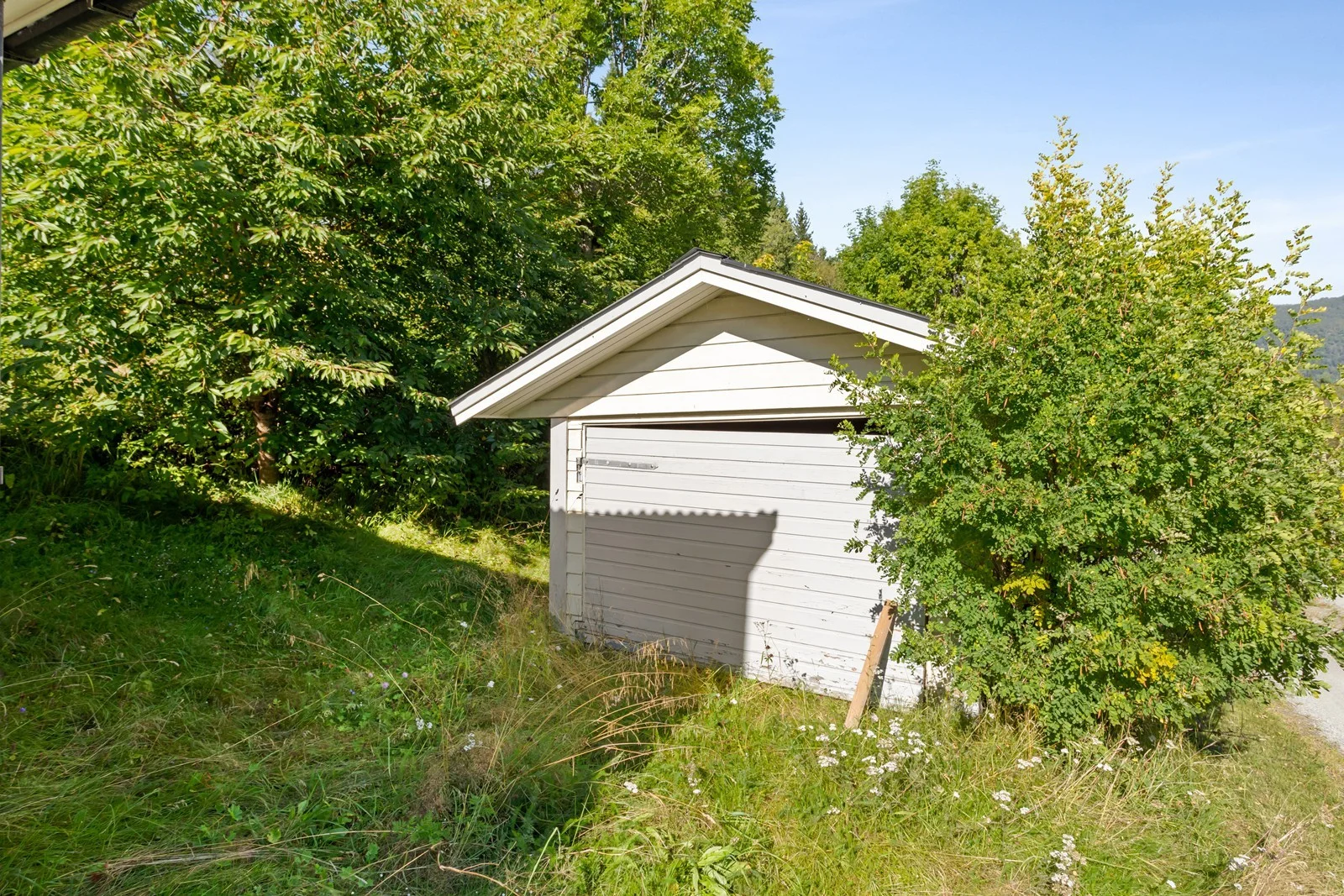Photo 45