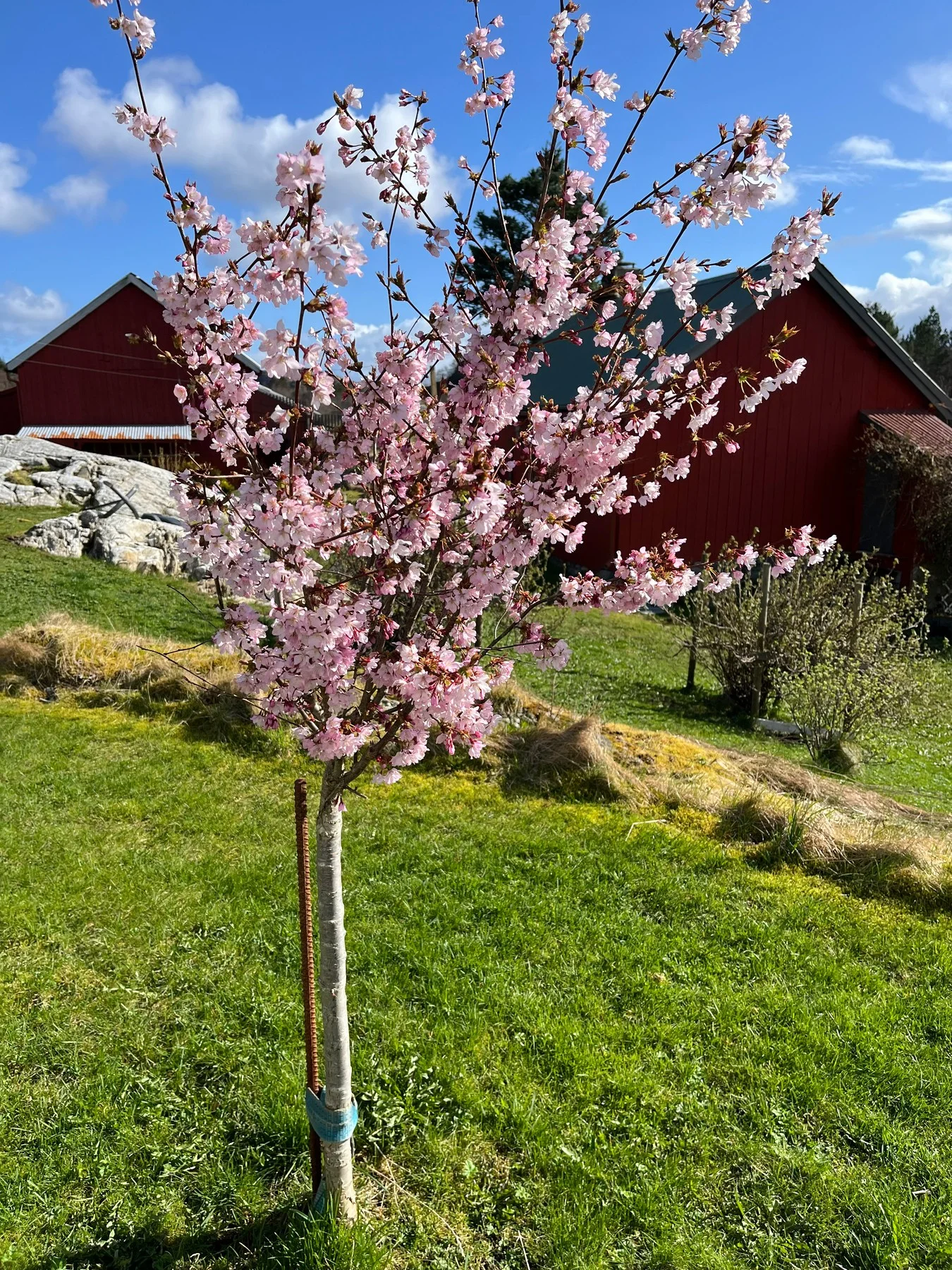 Photo 49