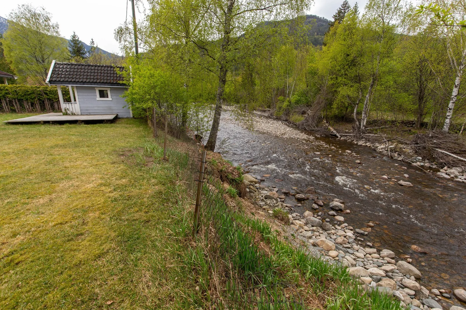 Photo 41