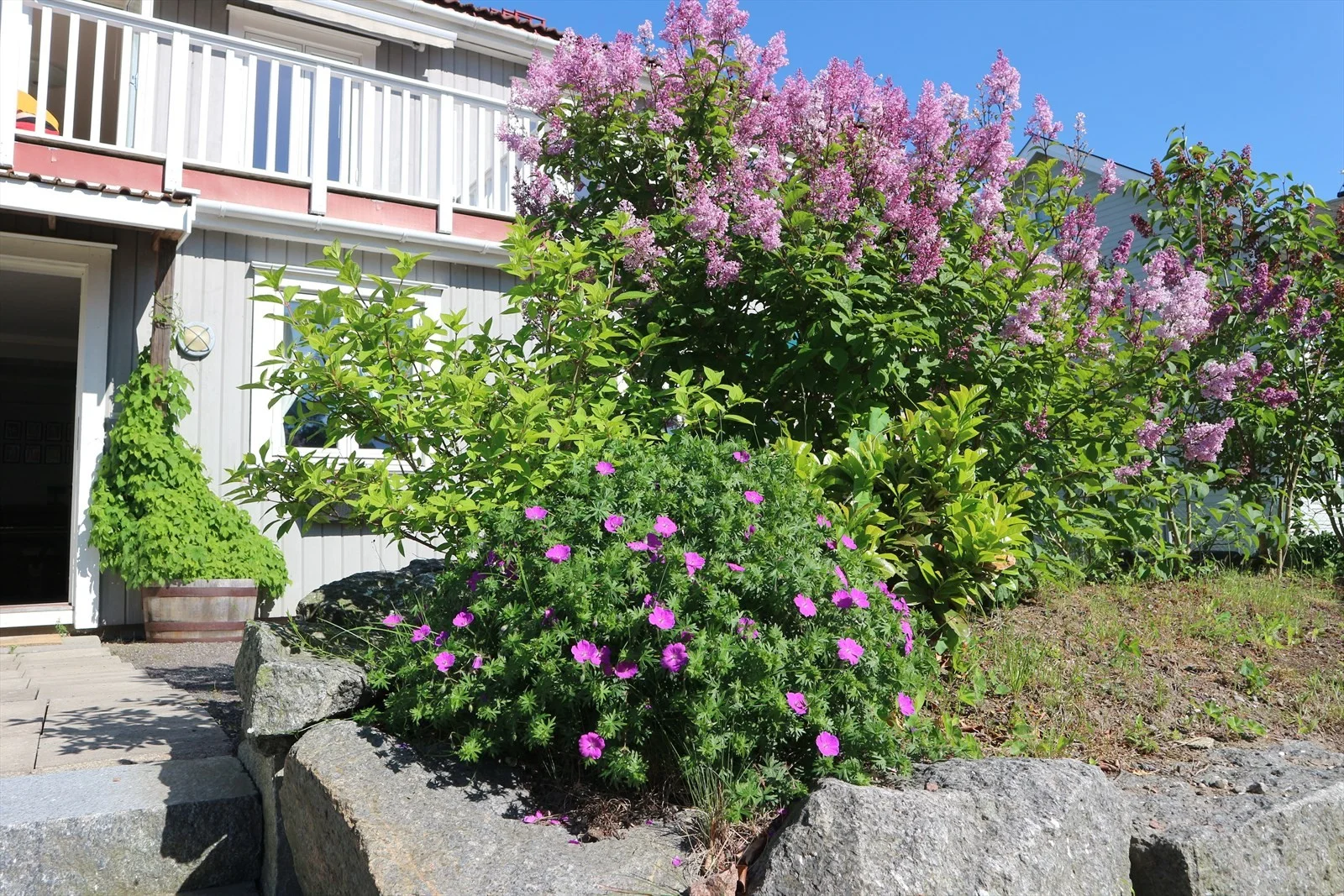 Photo 27