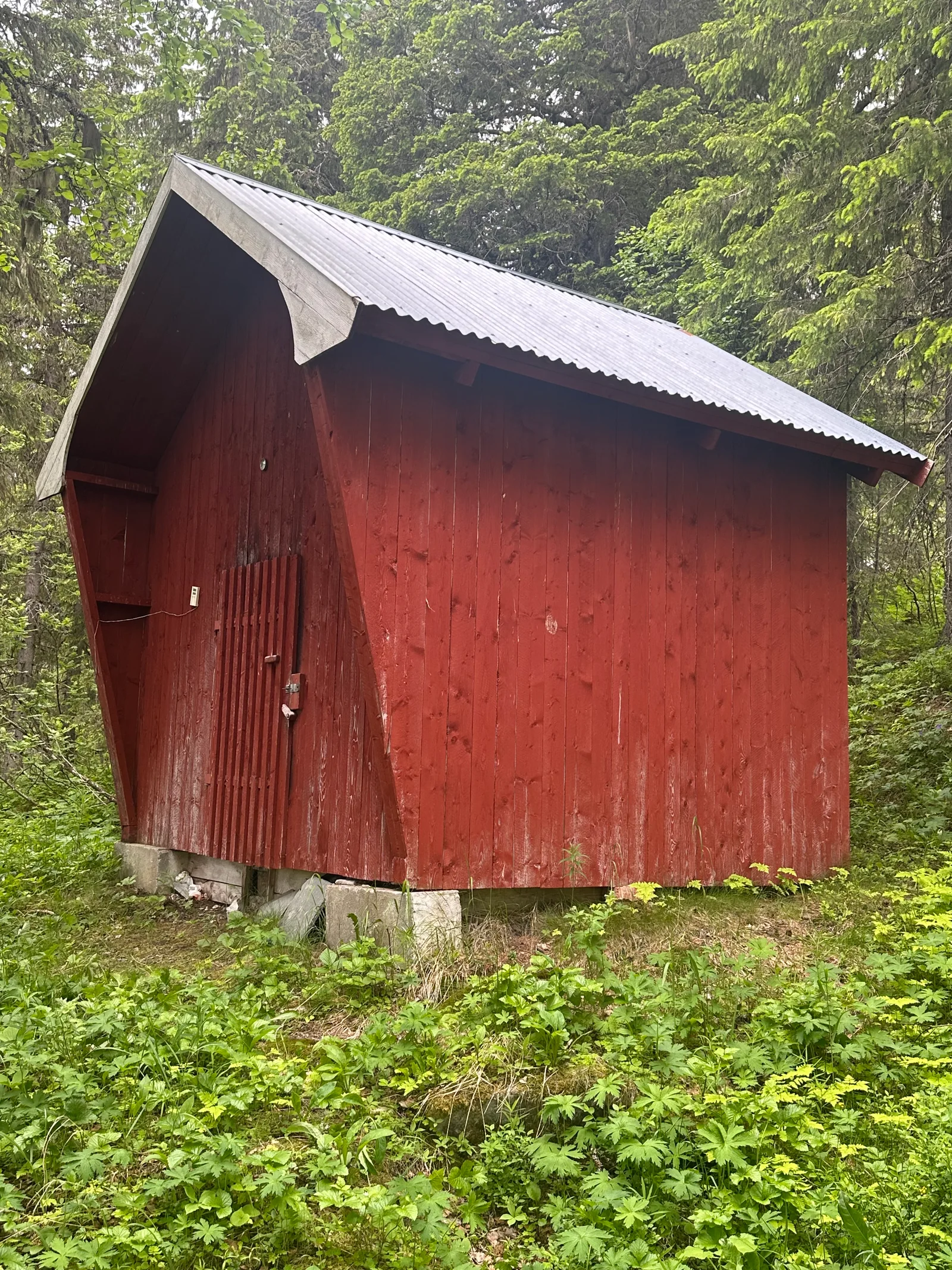 Photo 6