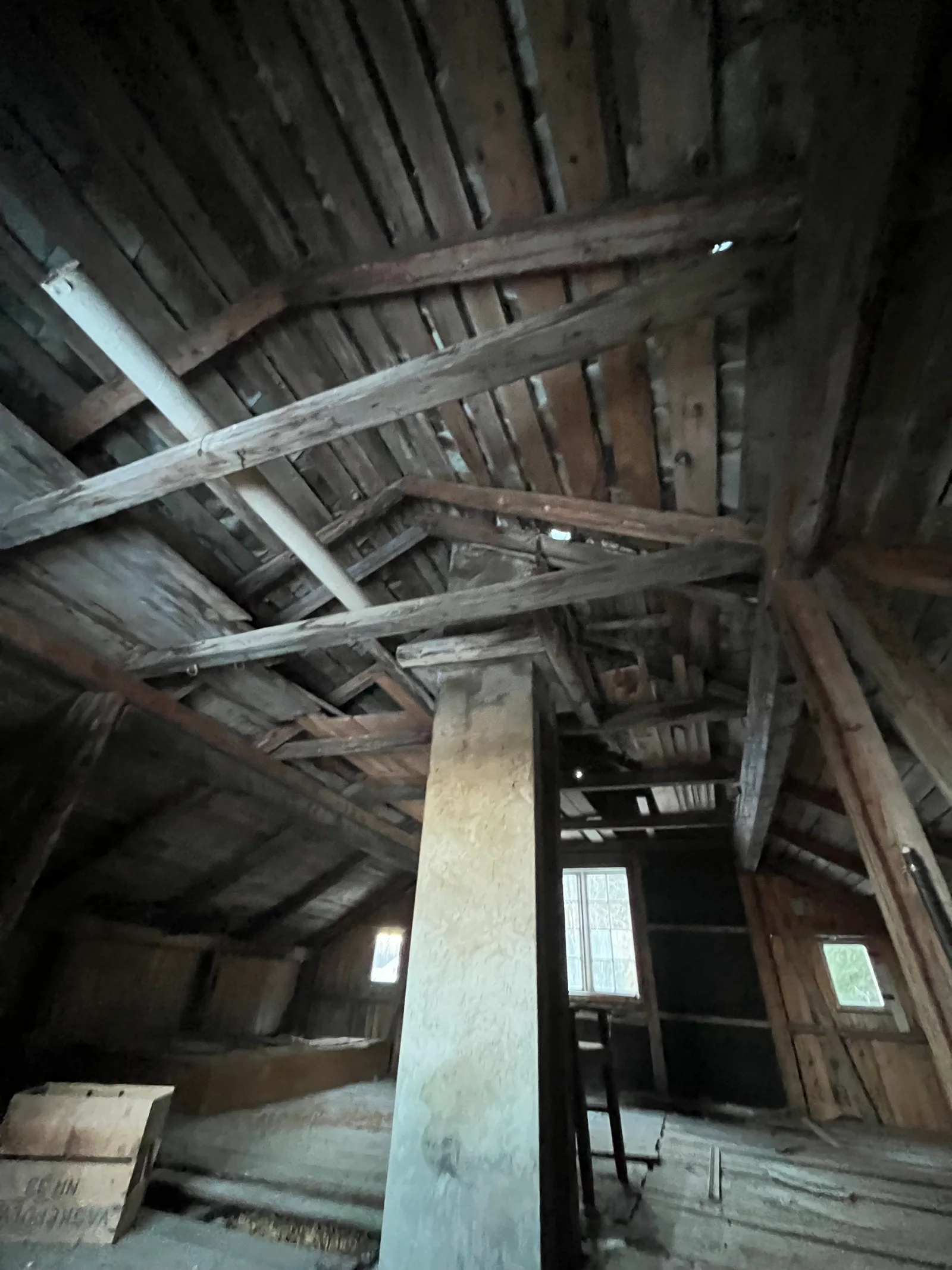 Photo 19