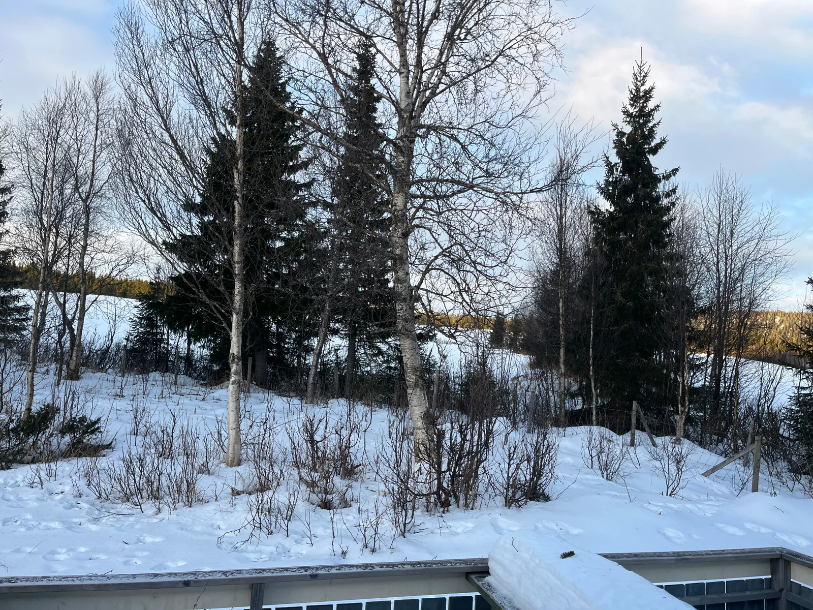 Photo 46