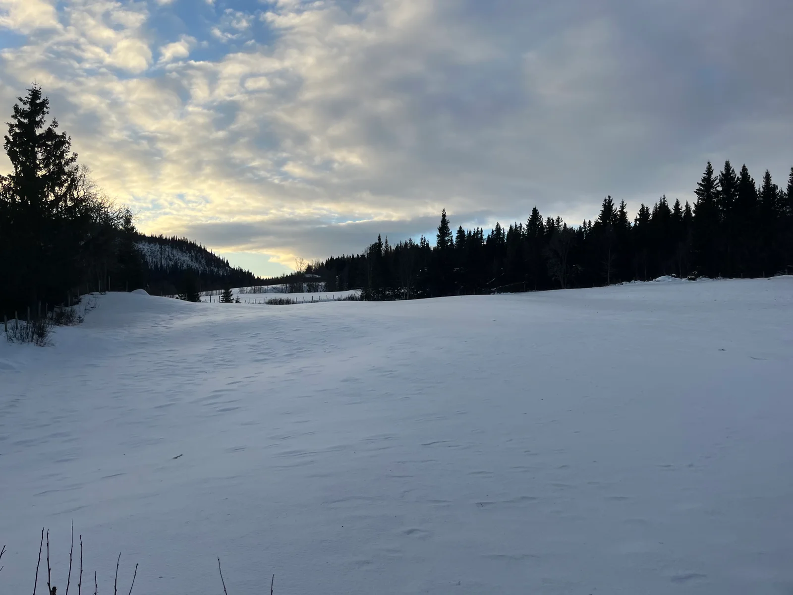 Photo 56