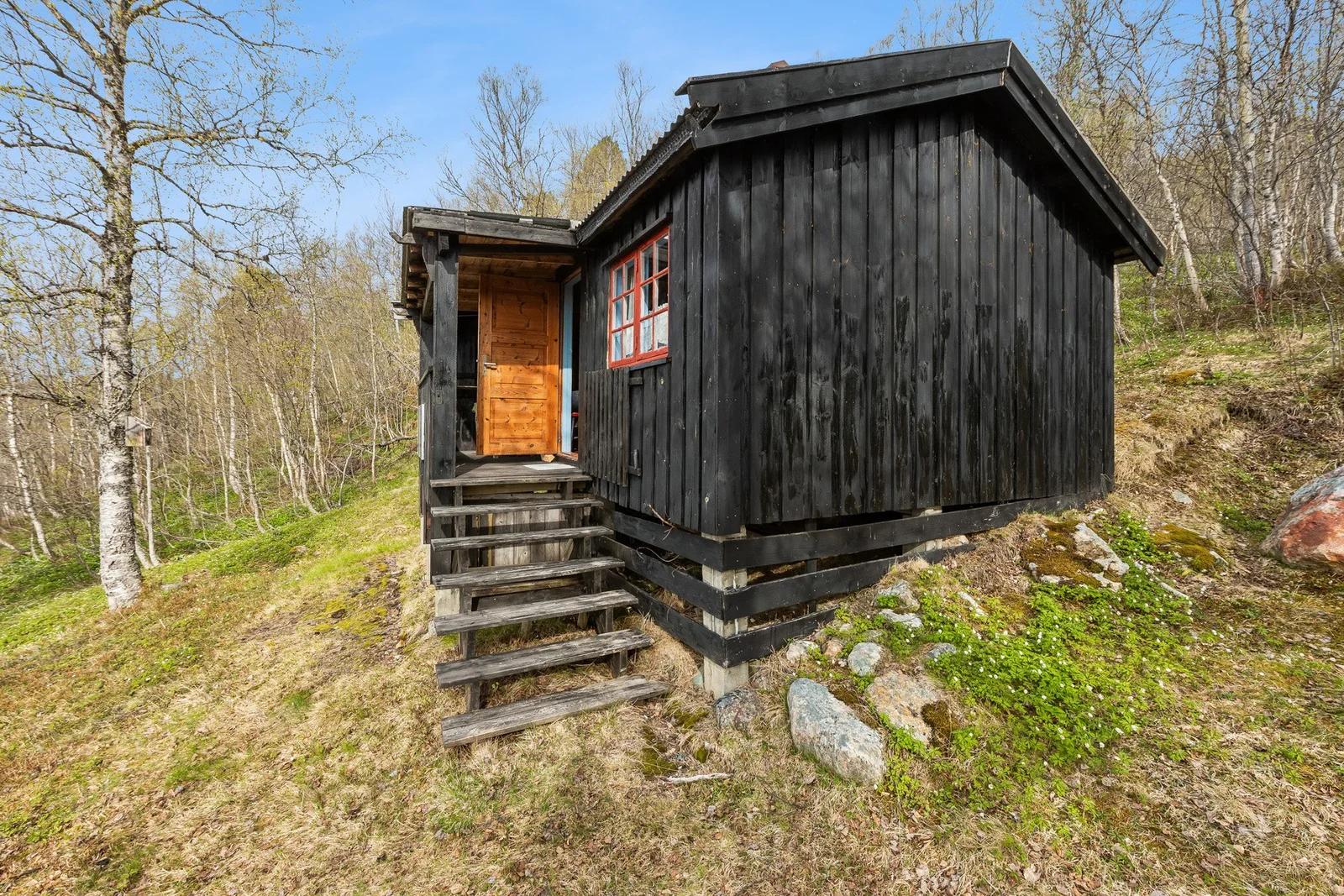 Photo 20