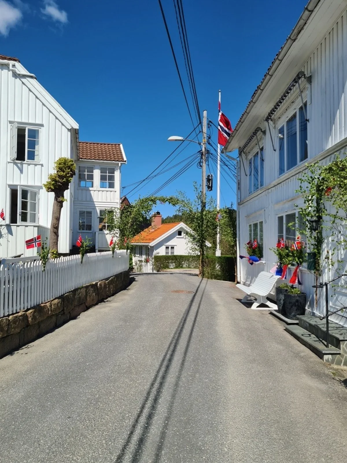 Photo 41