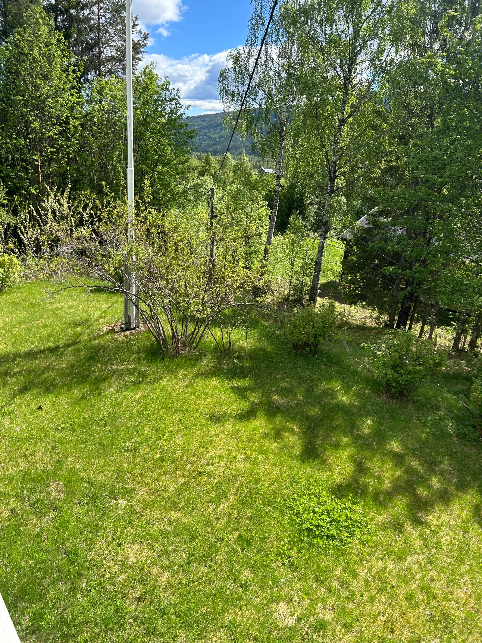 Photo 56