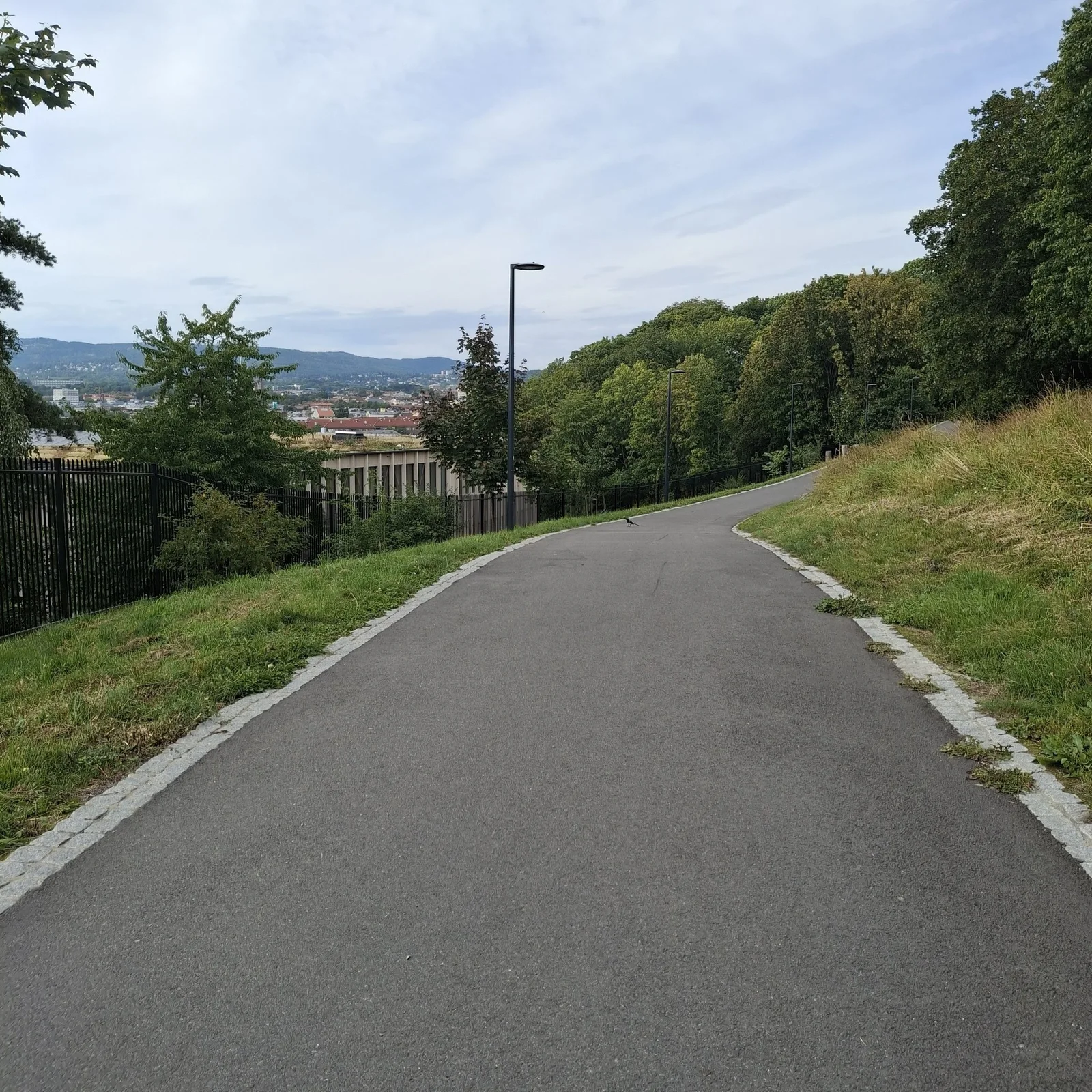 Photo 35