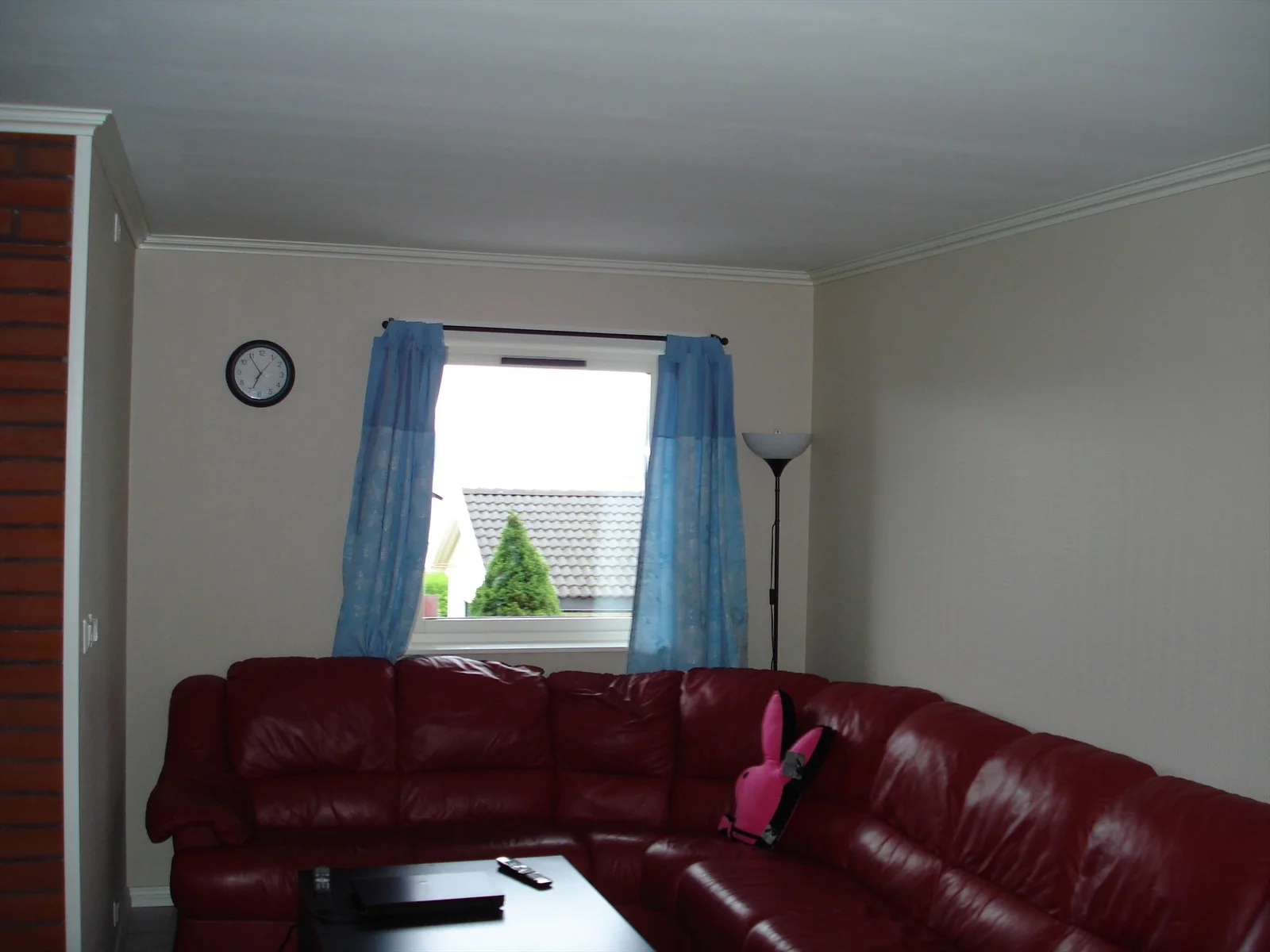 Photo 41