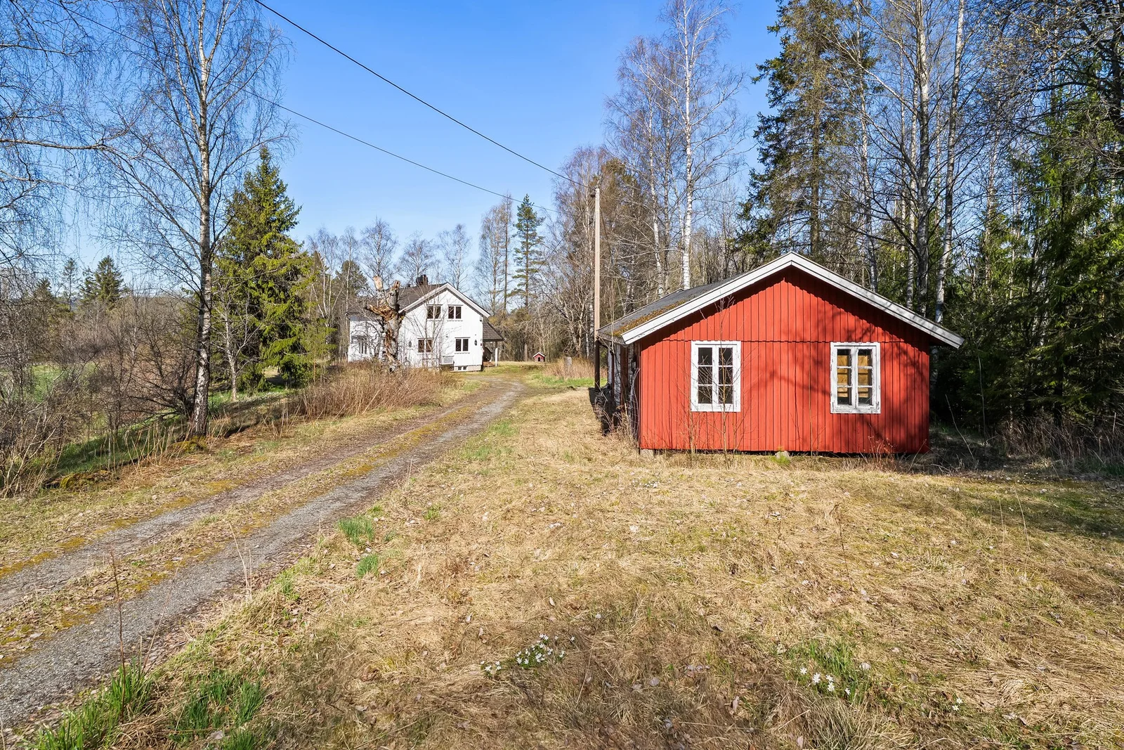 Photo 42