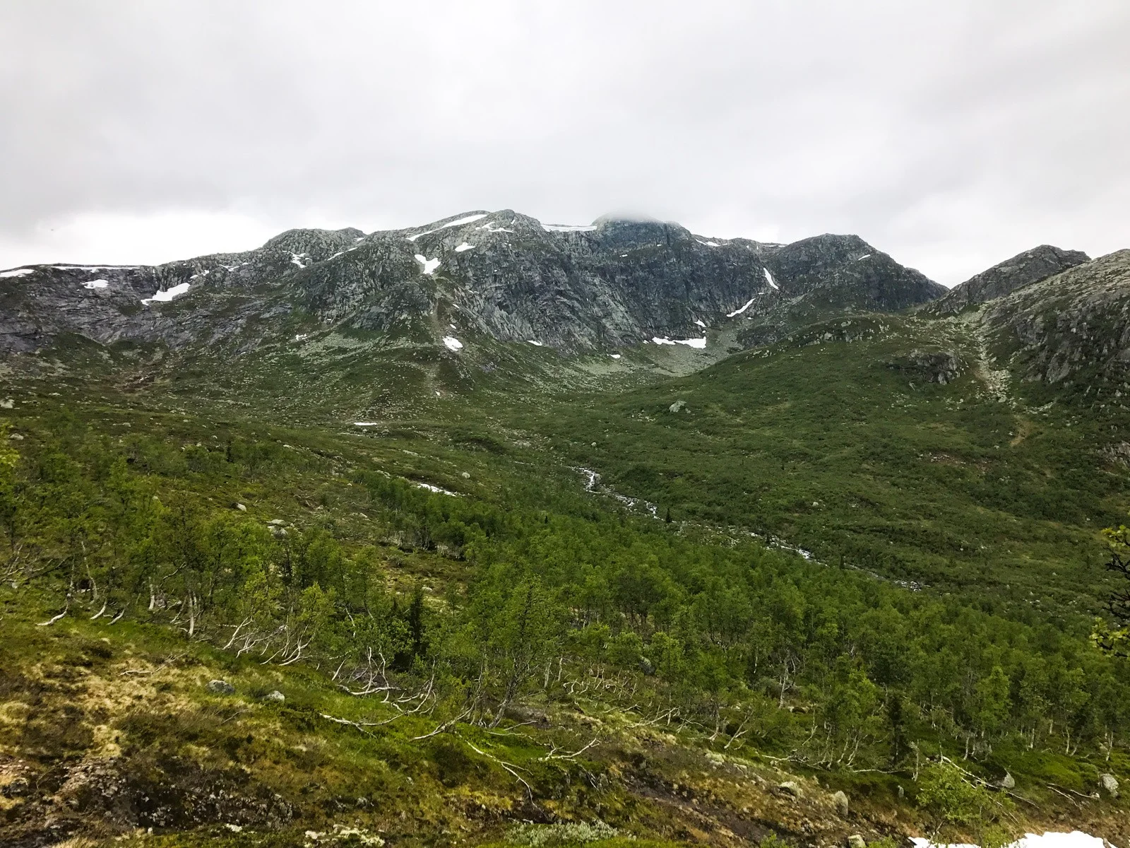Photo 20