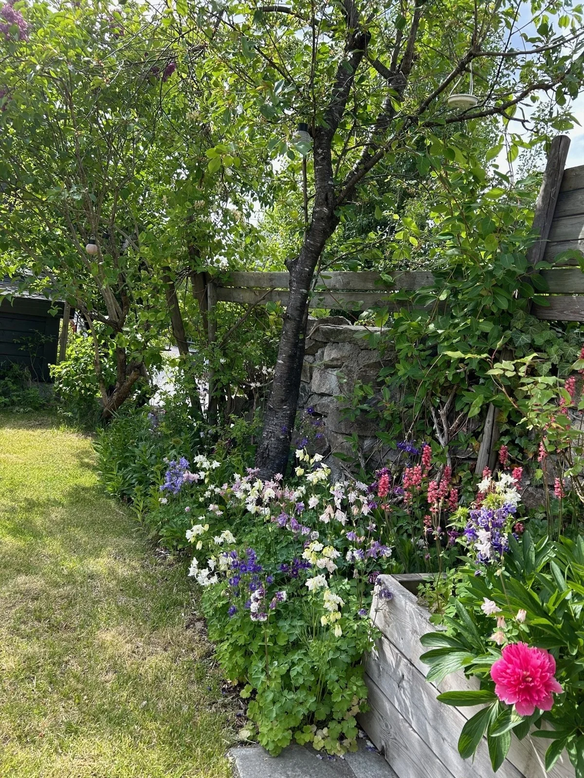 Photo 32